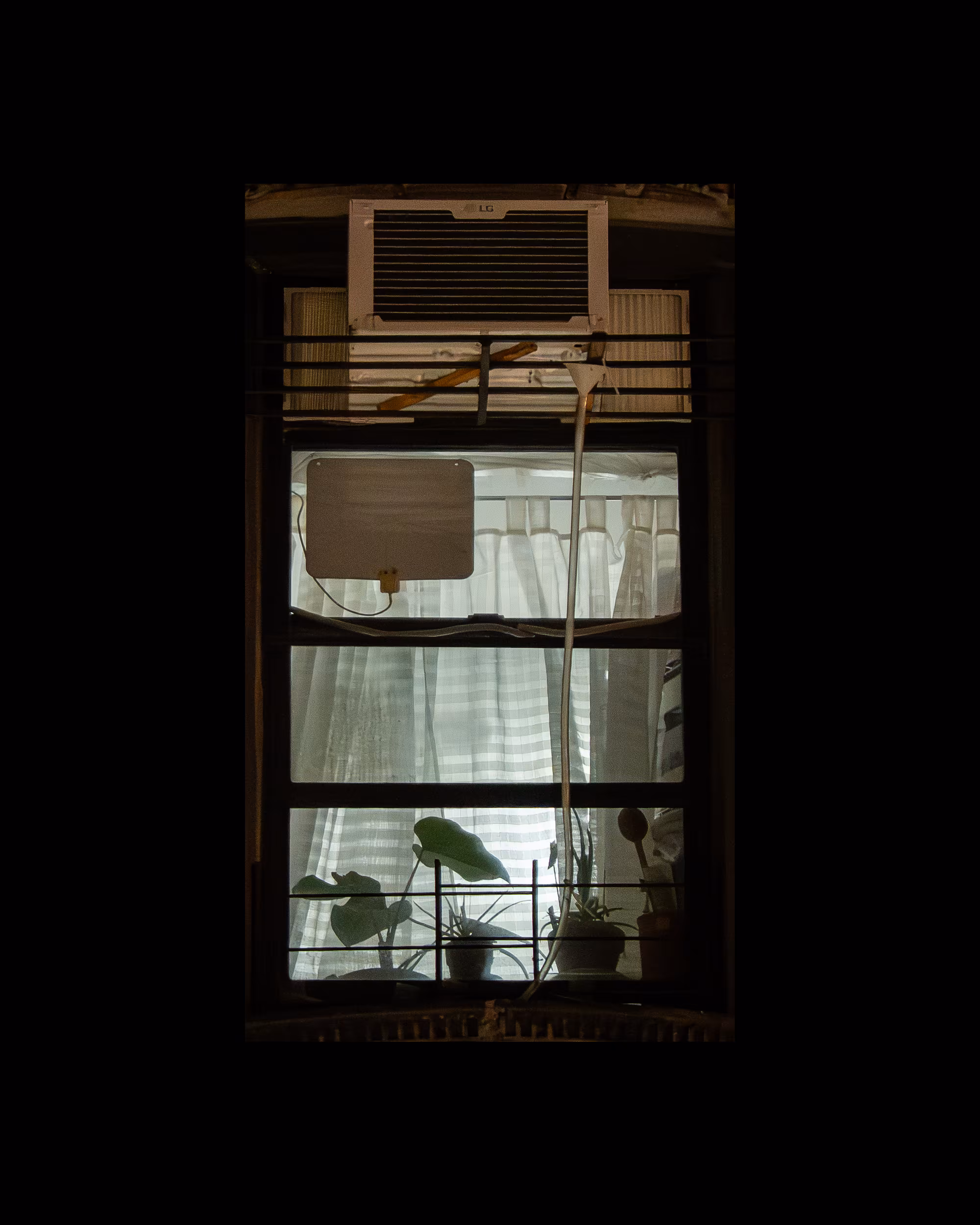 WINDOWS // NYC: WINDOW 467
