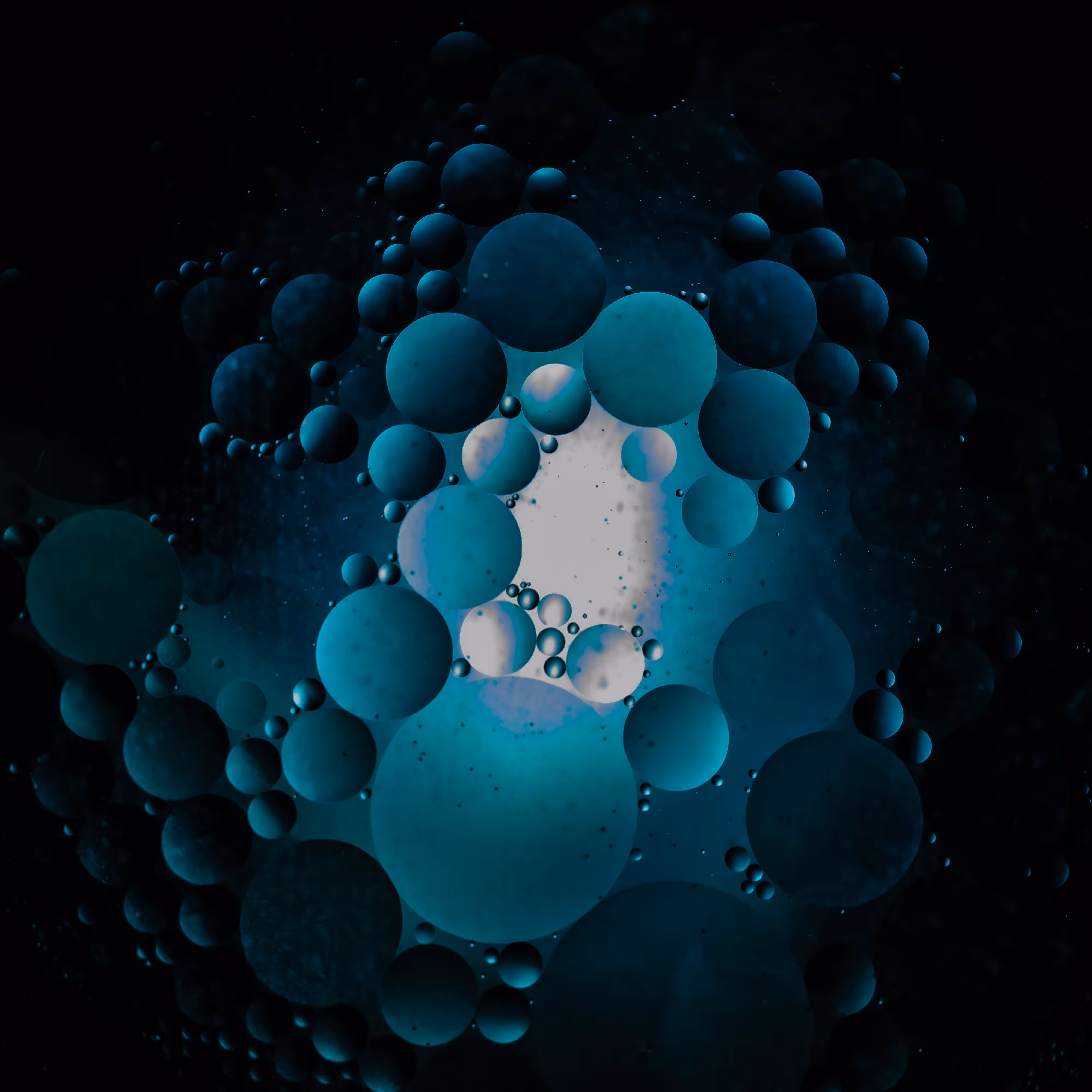 Petri Oil 2