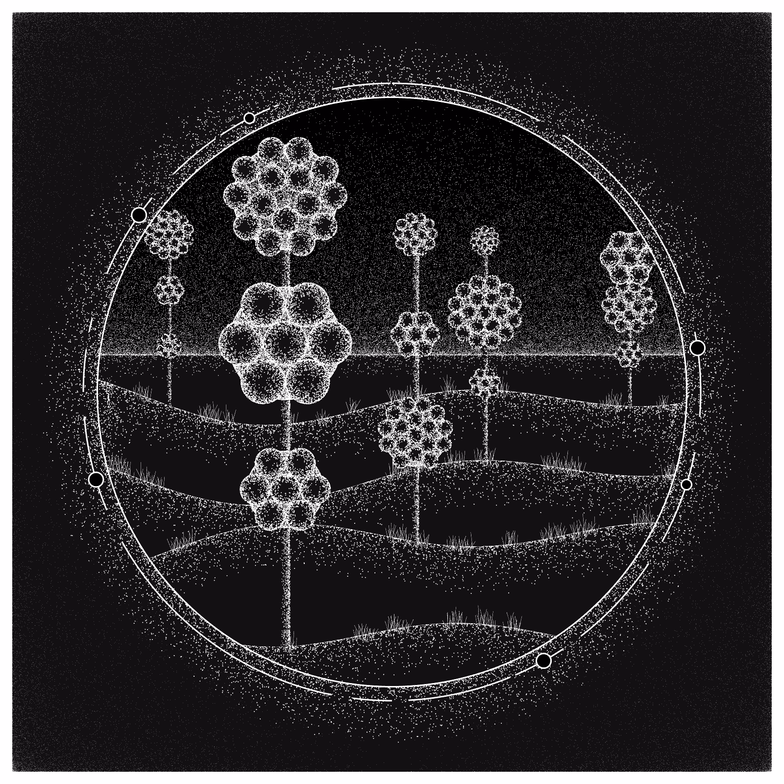 EXPLORING SPACE FLOWERS #58