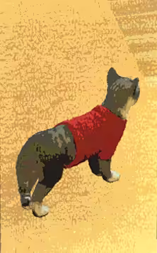 003 Turtlew In Sweater