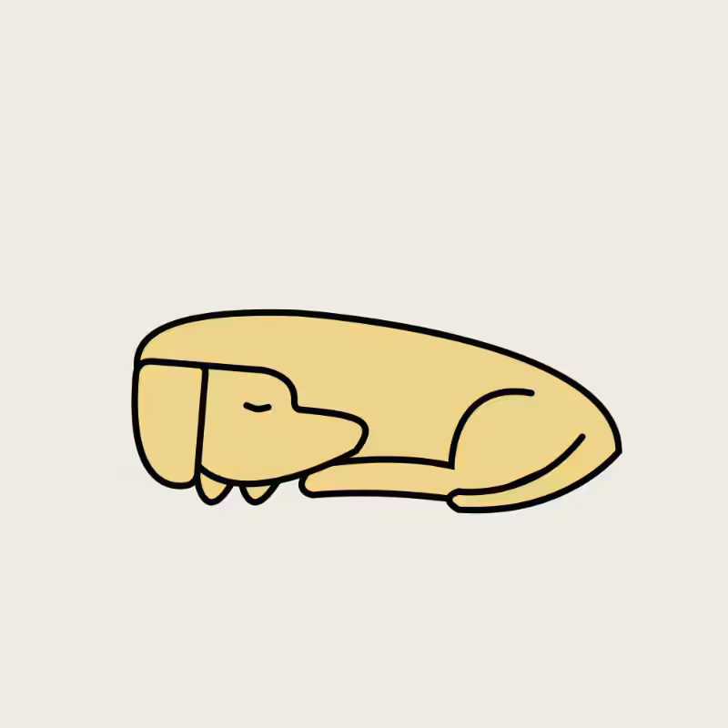 GOOD DOG #307