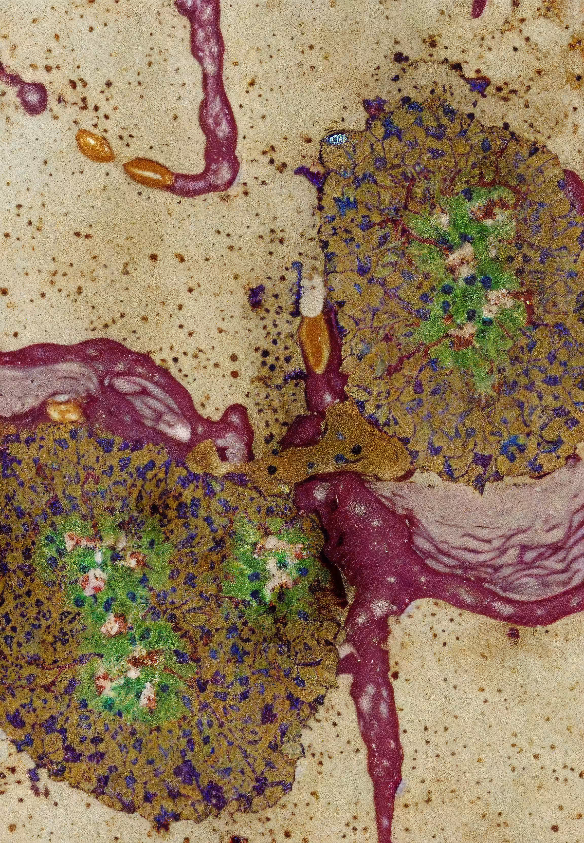 Histologia In Silico #214