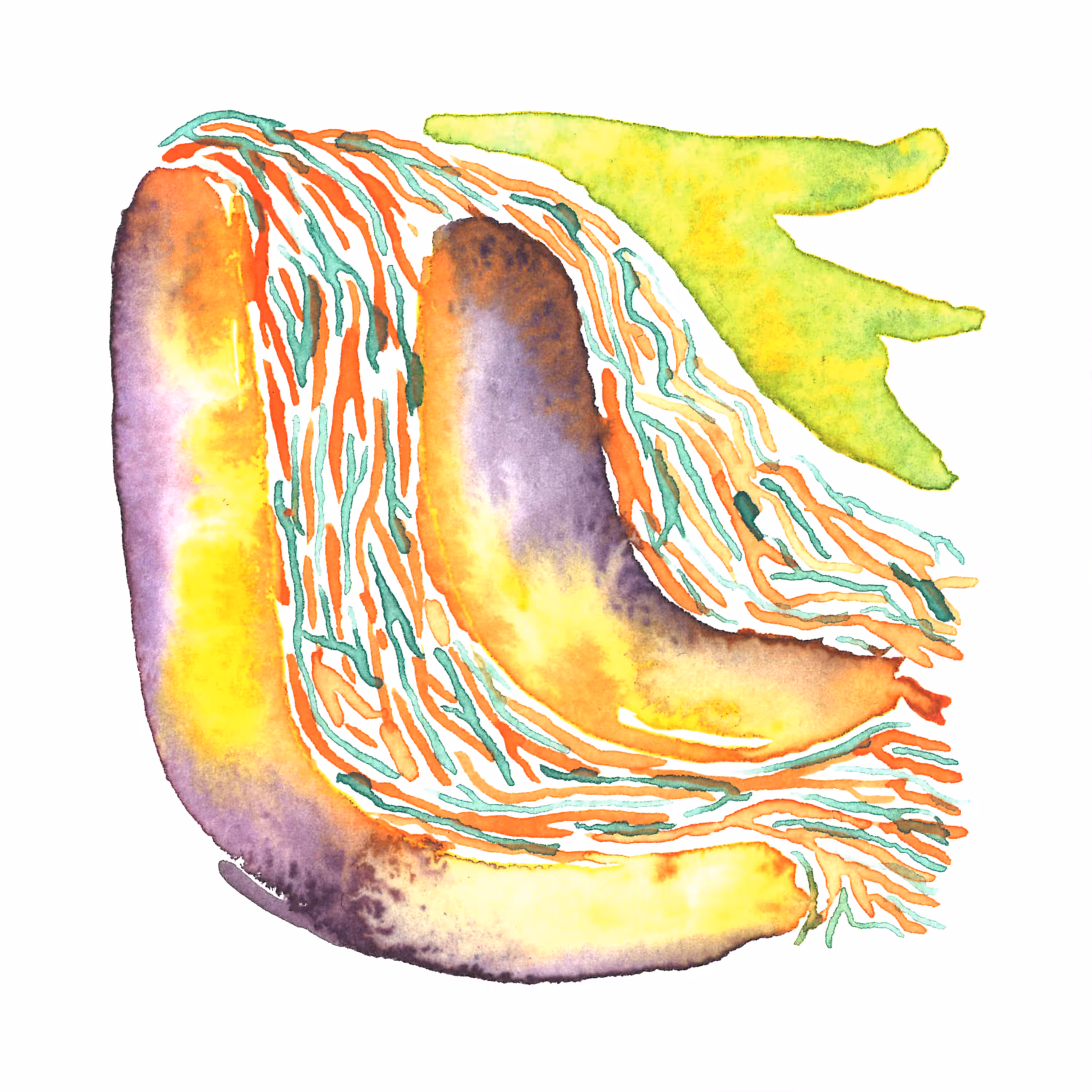 Water Glyphs #9
