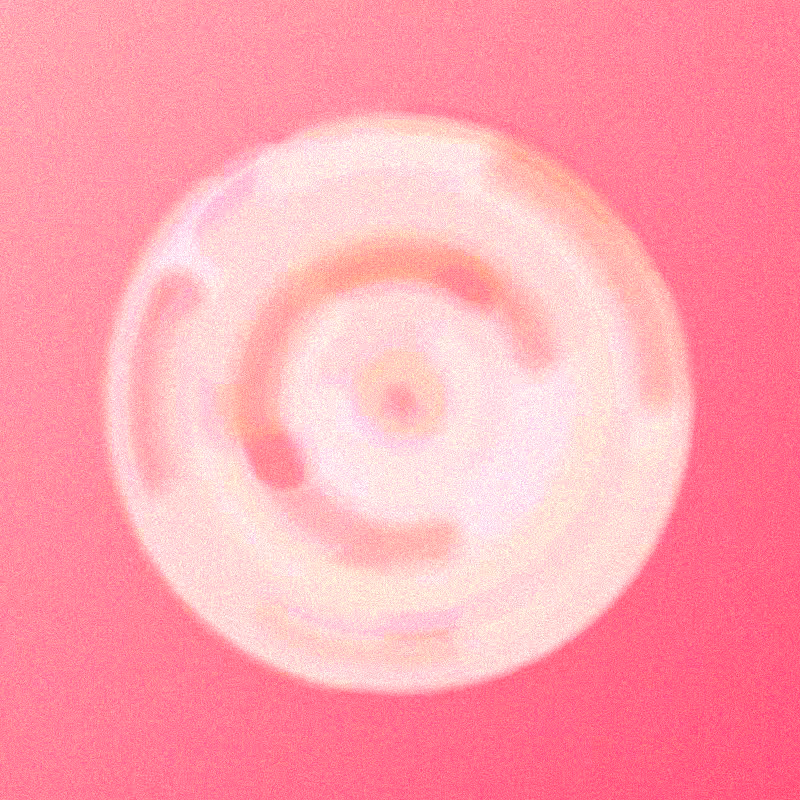 Wisp #241