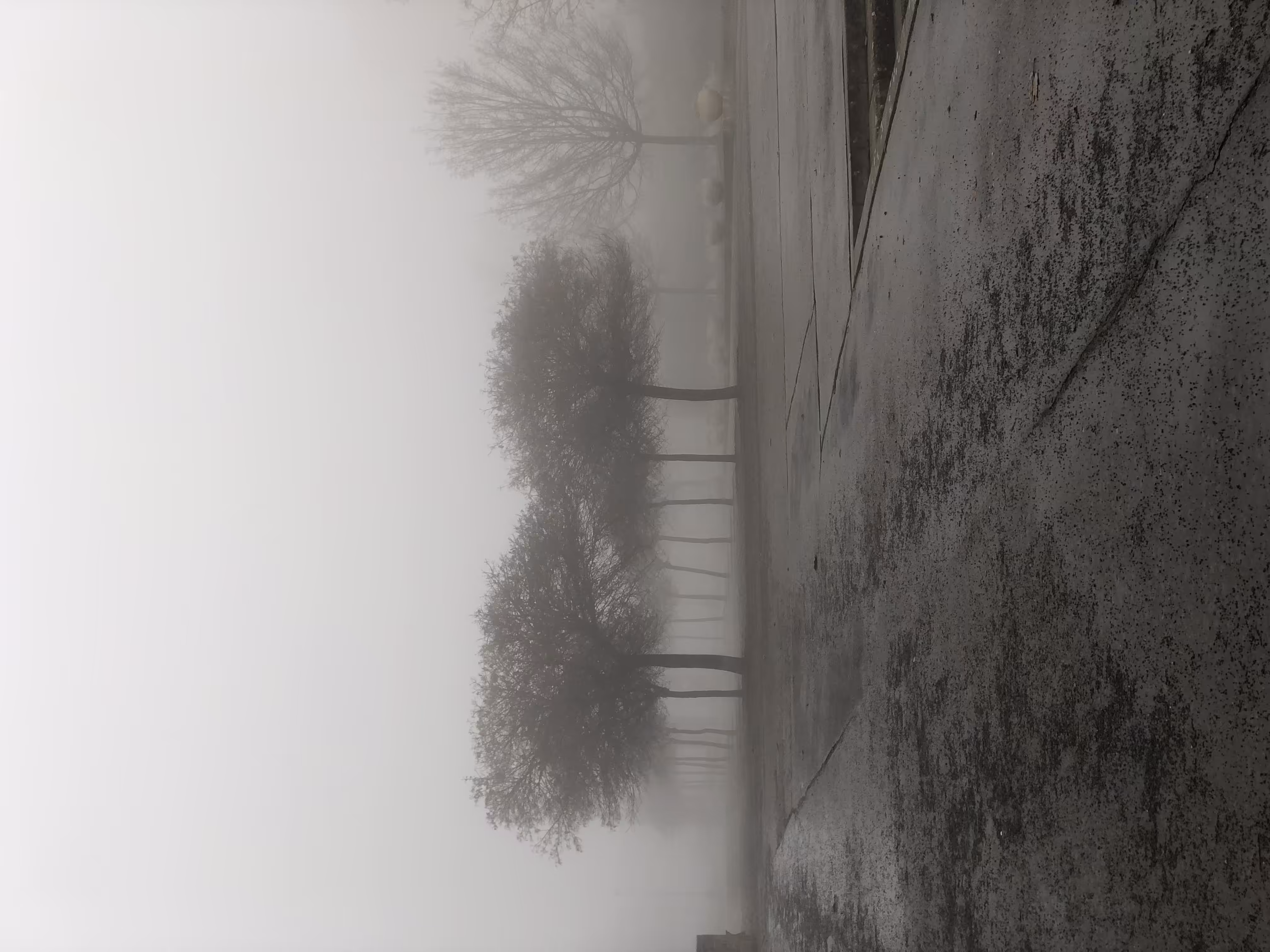 Foggy day