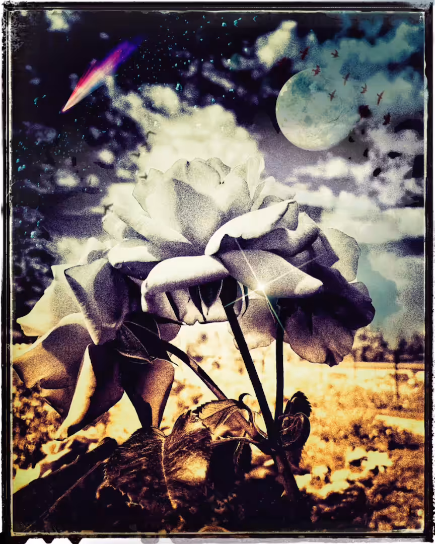 La Luna Rosa 