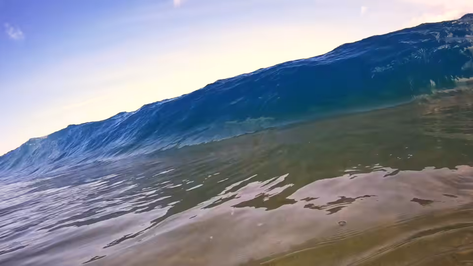 Jello 