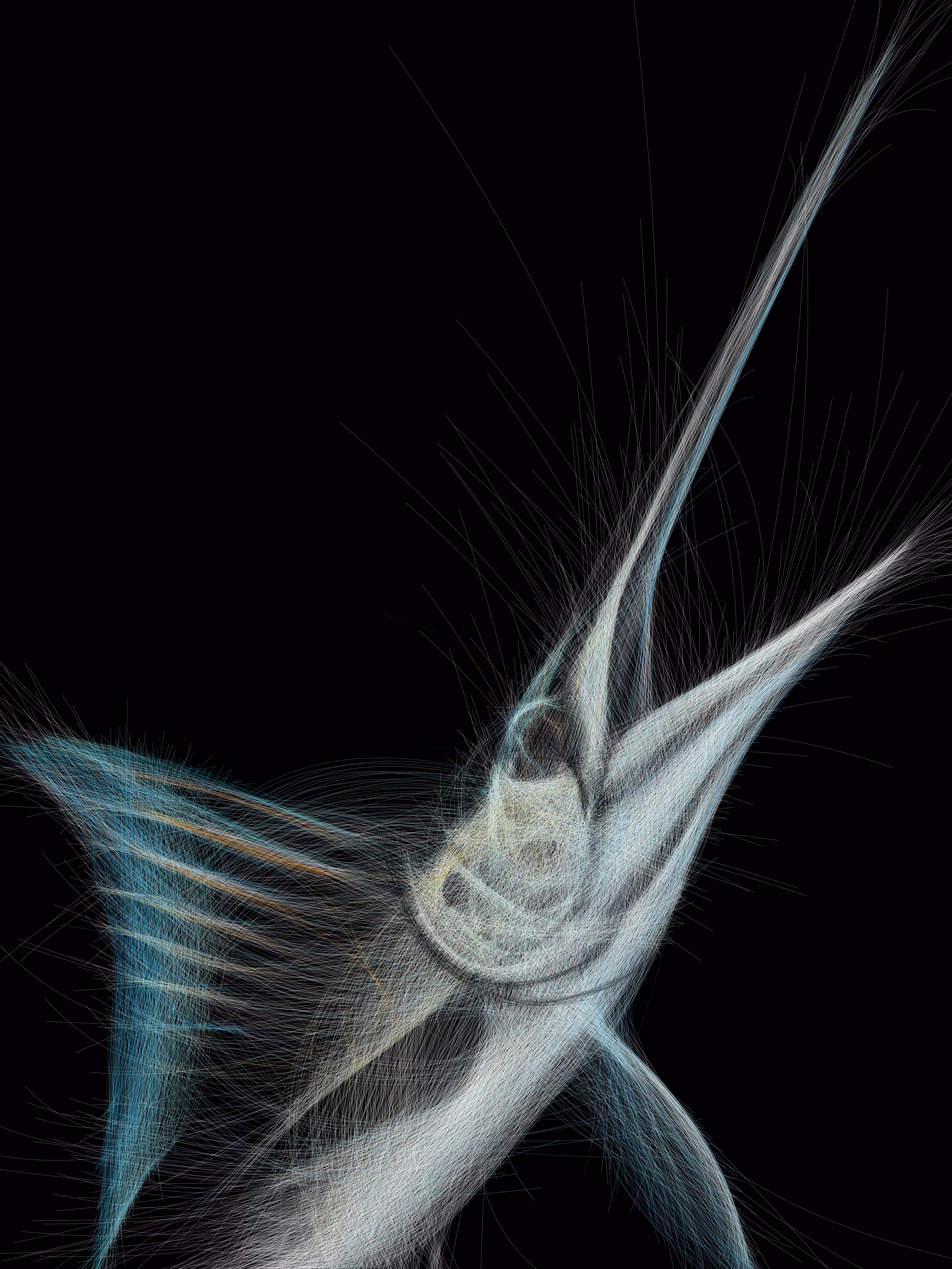 UNDERWATER: Underwater 339