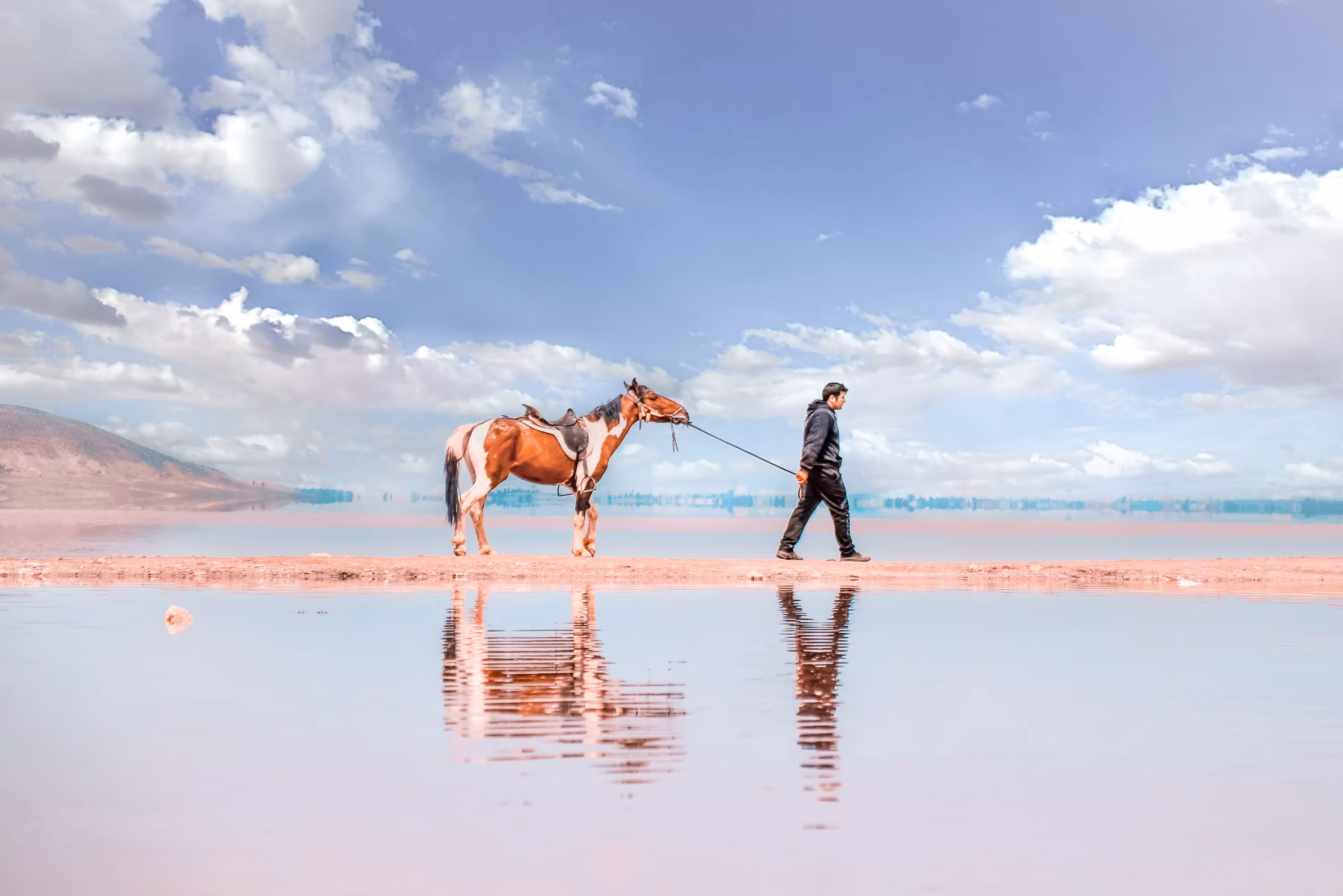 Human and Horse