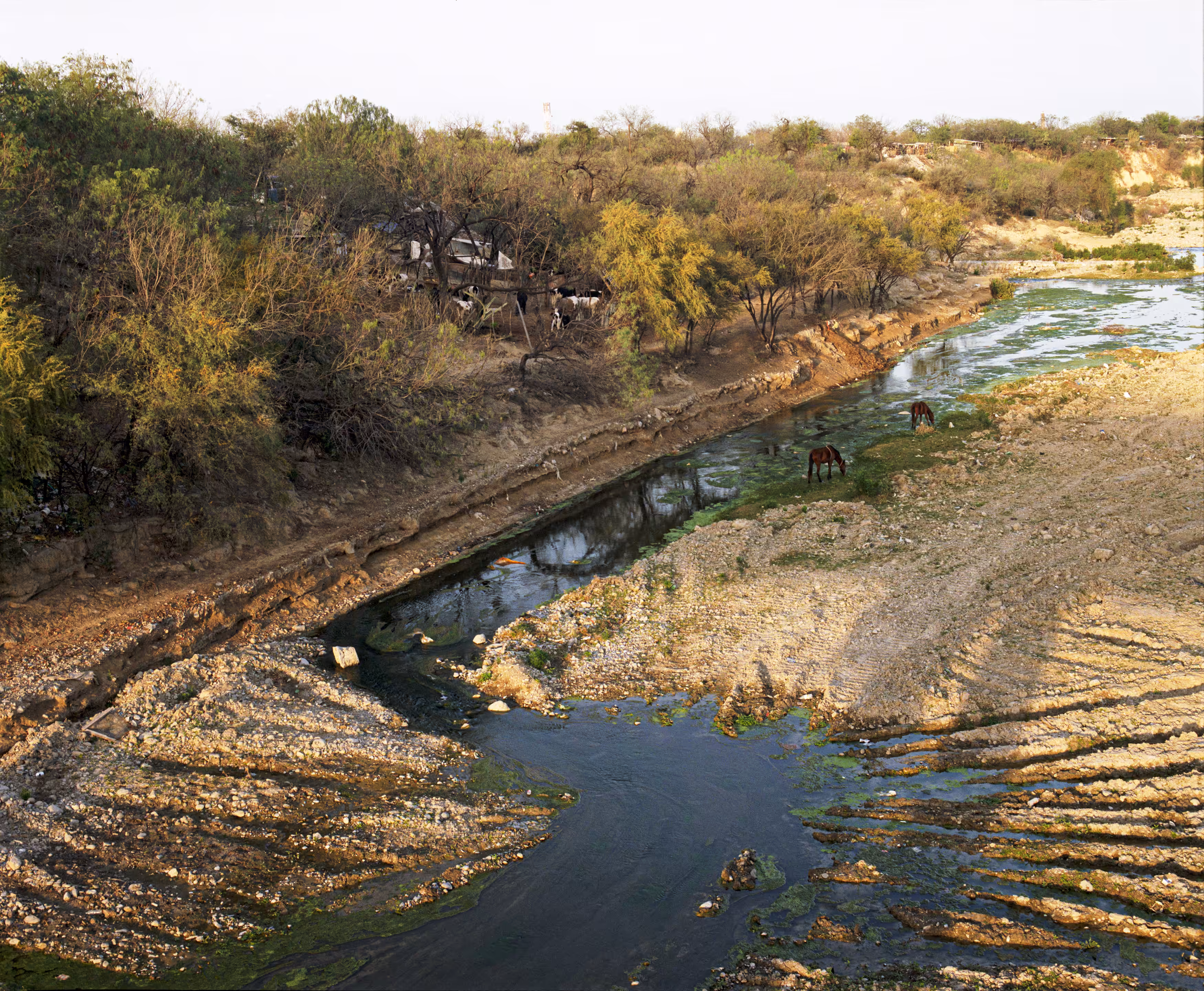 Suburbia Mexicana, Lost Rivers #23
