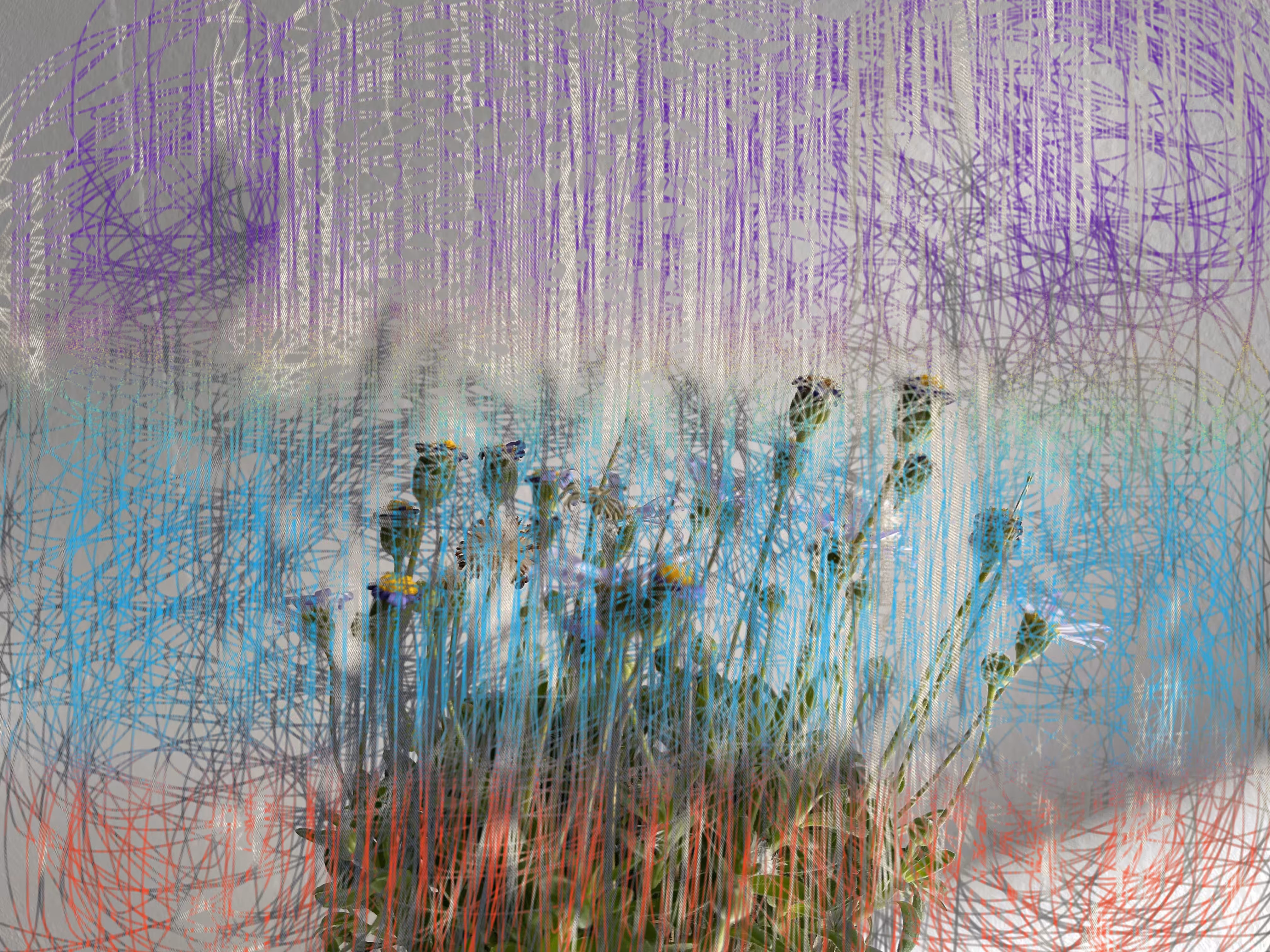 VISITATION