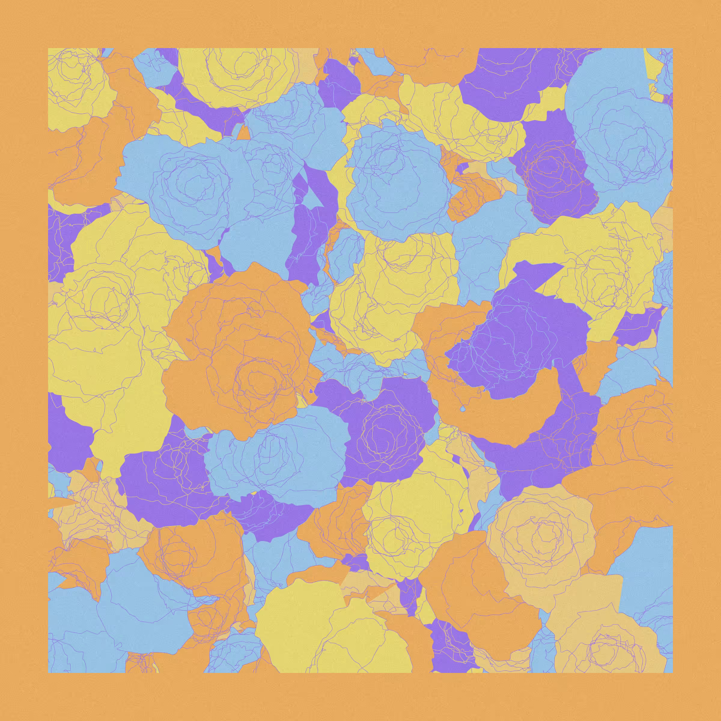 Roses #19