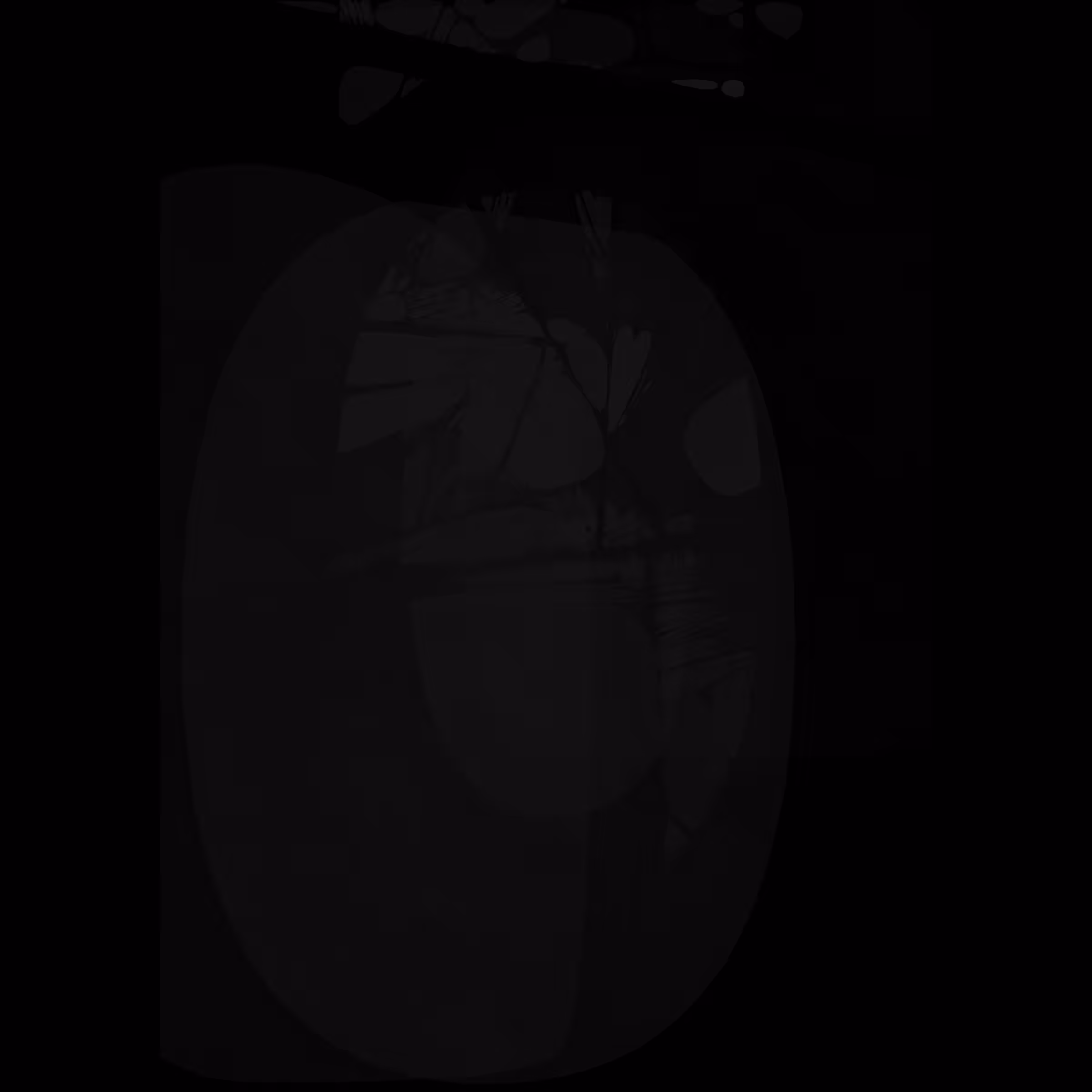 Mitosis: Inscription #64102653