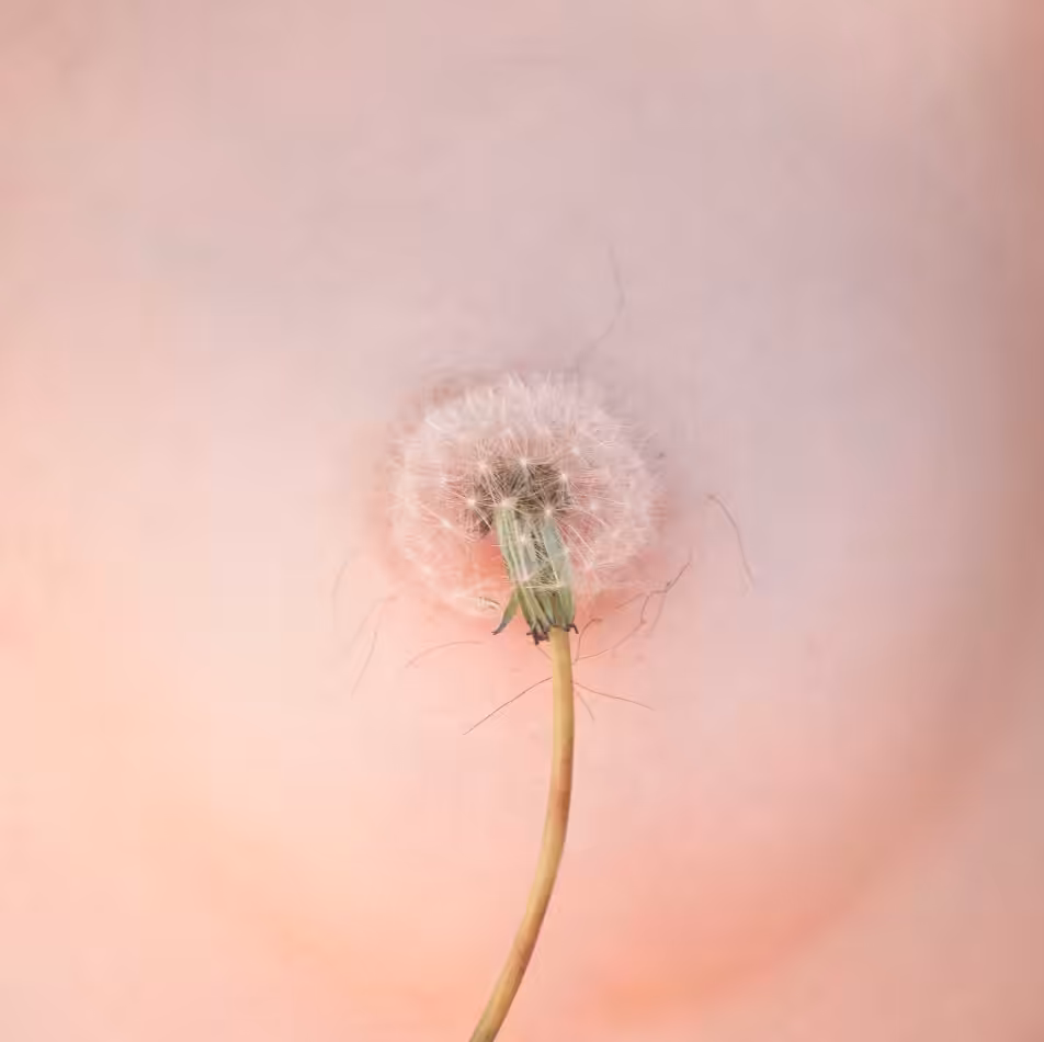 Sensural I 