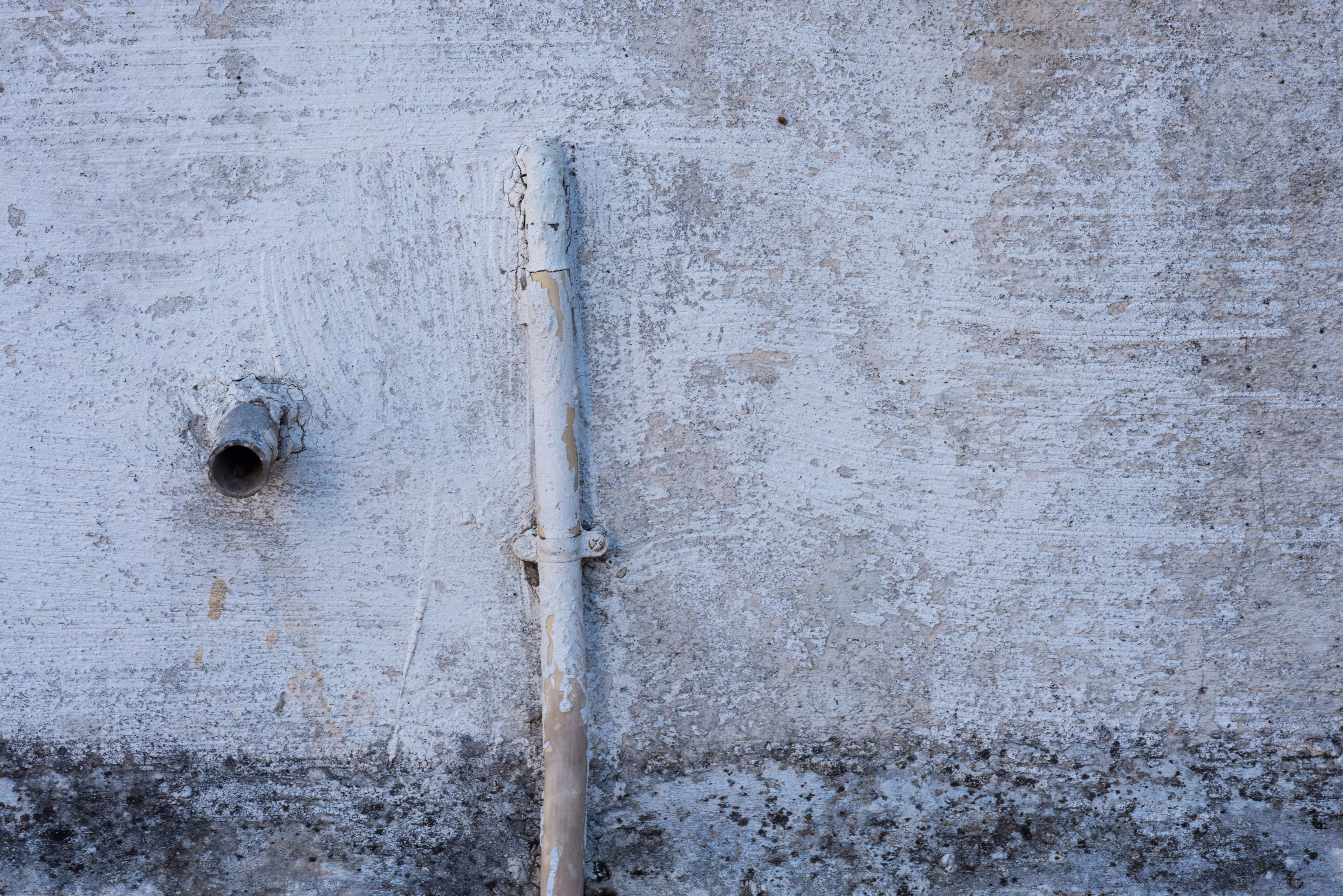 Whitewash