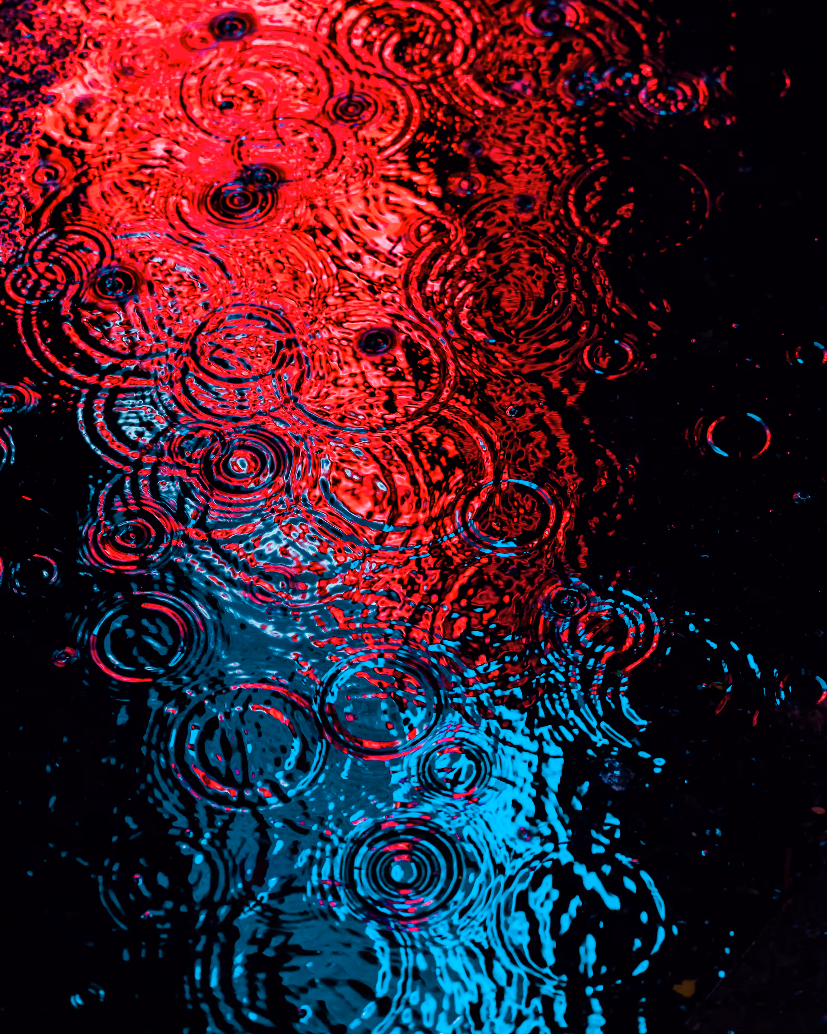 DRIP #313