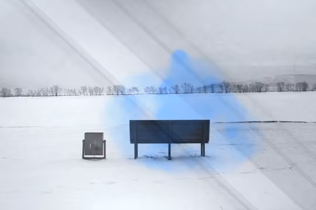 my winter