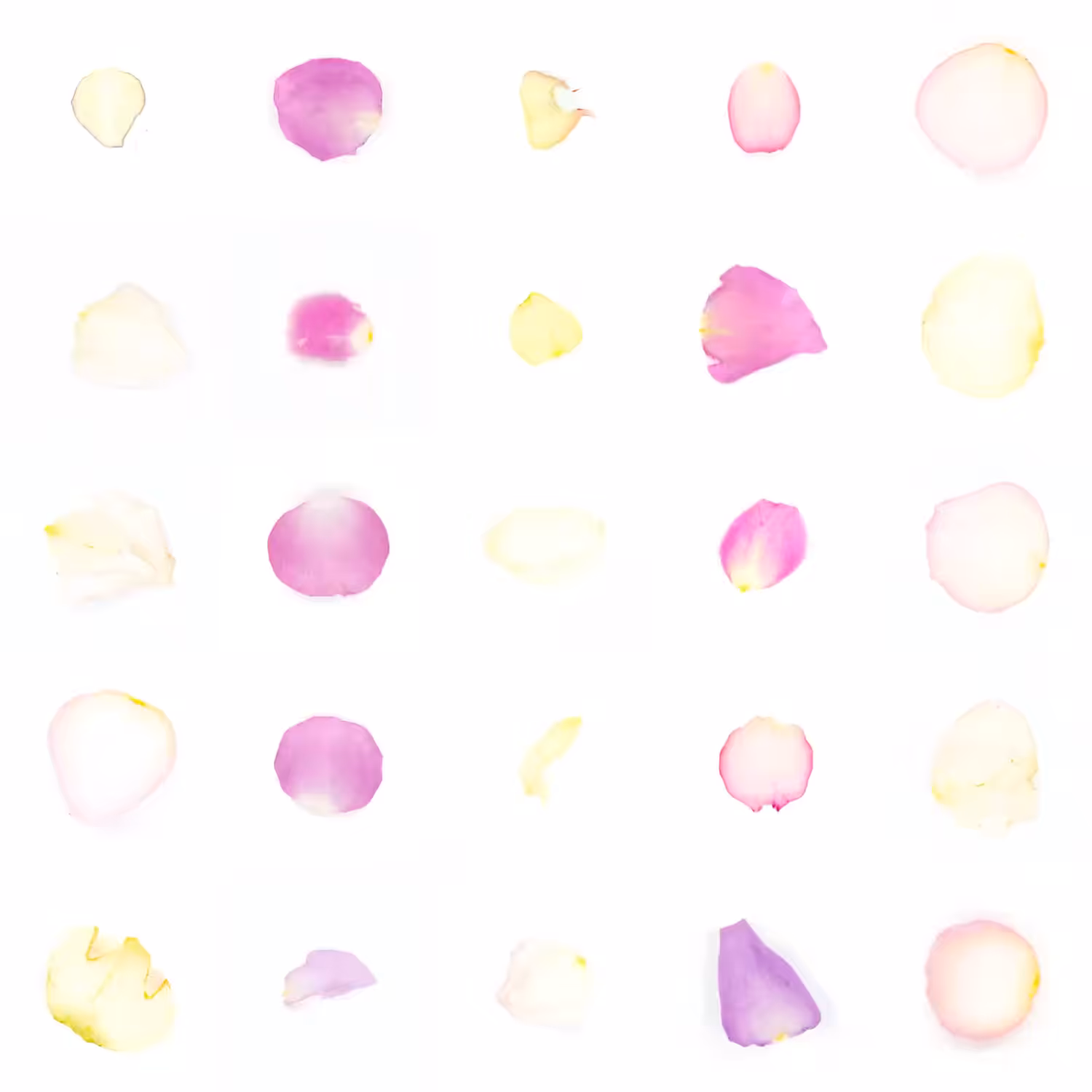 Infinite Petals 5x5#20726