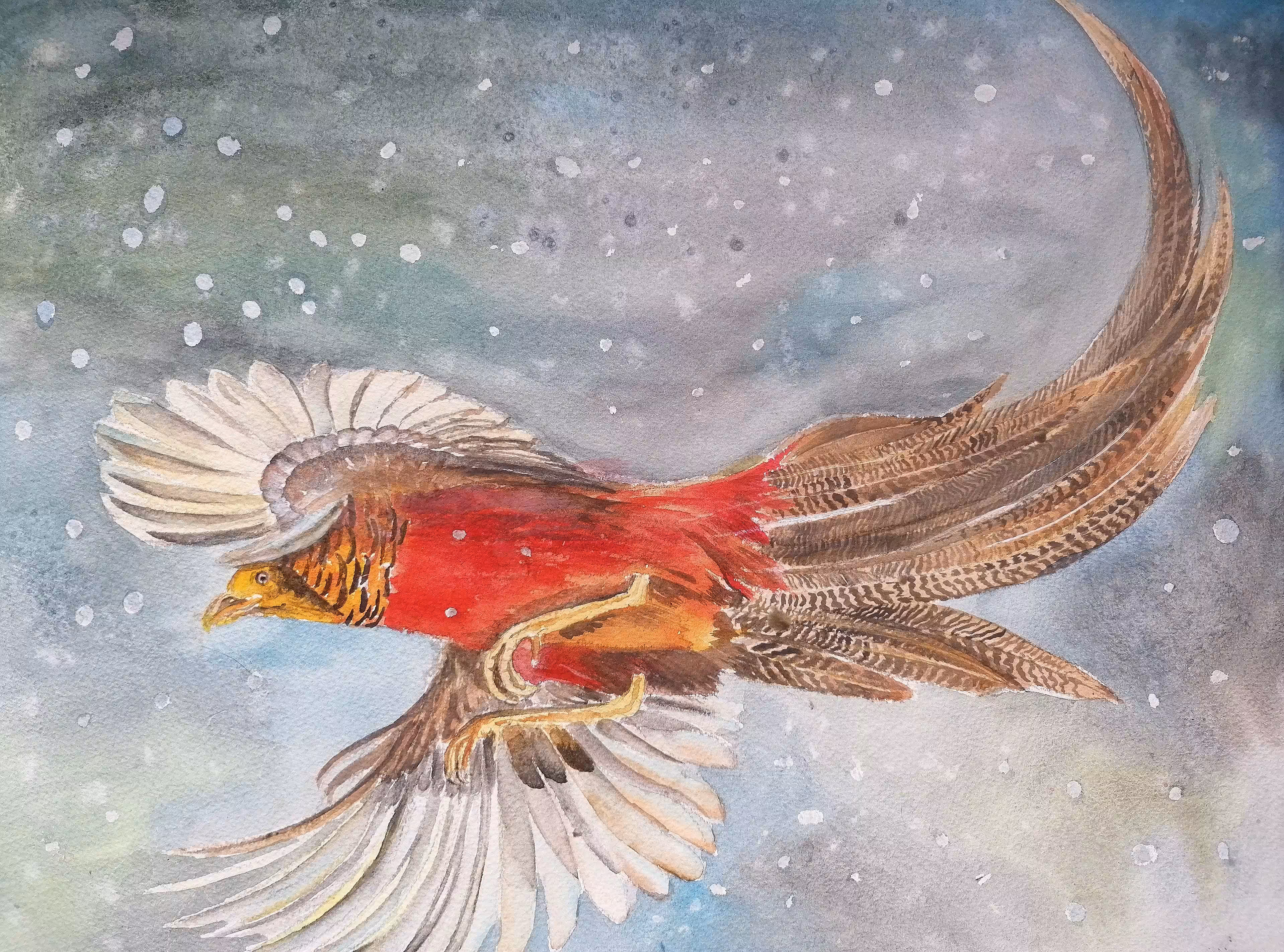 Pheasant in snow