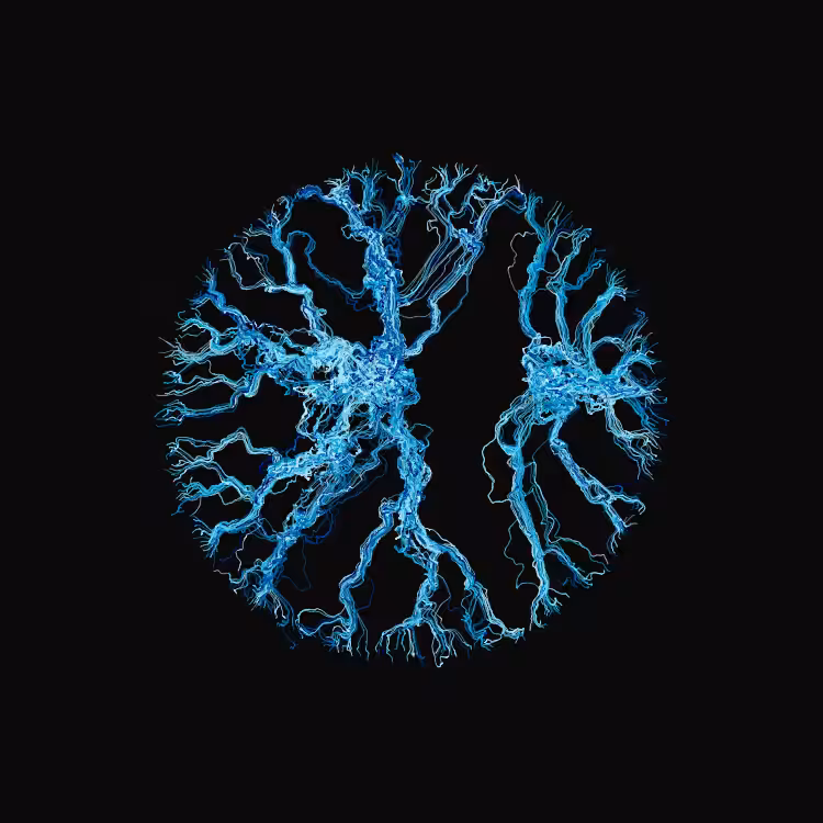 Ginseng #25