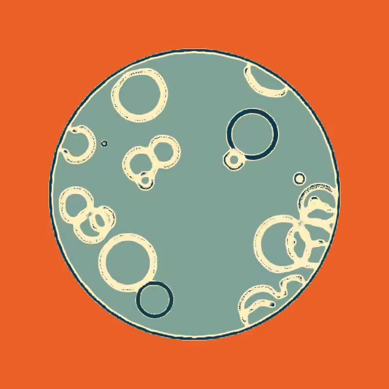 Cheap Petri Dish #28