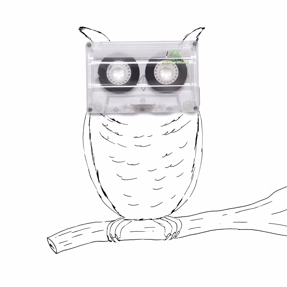 Owlssette