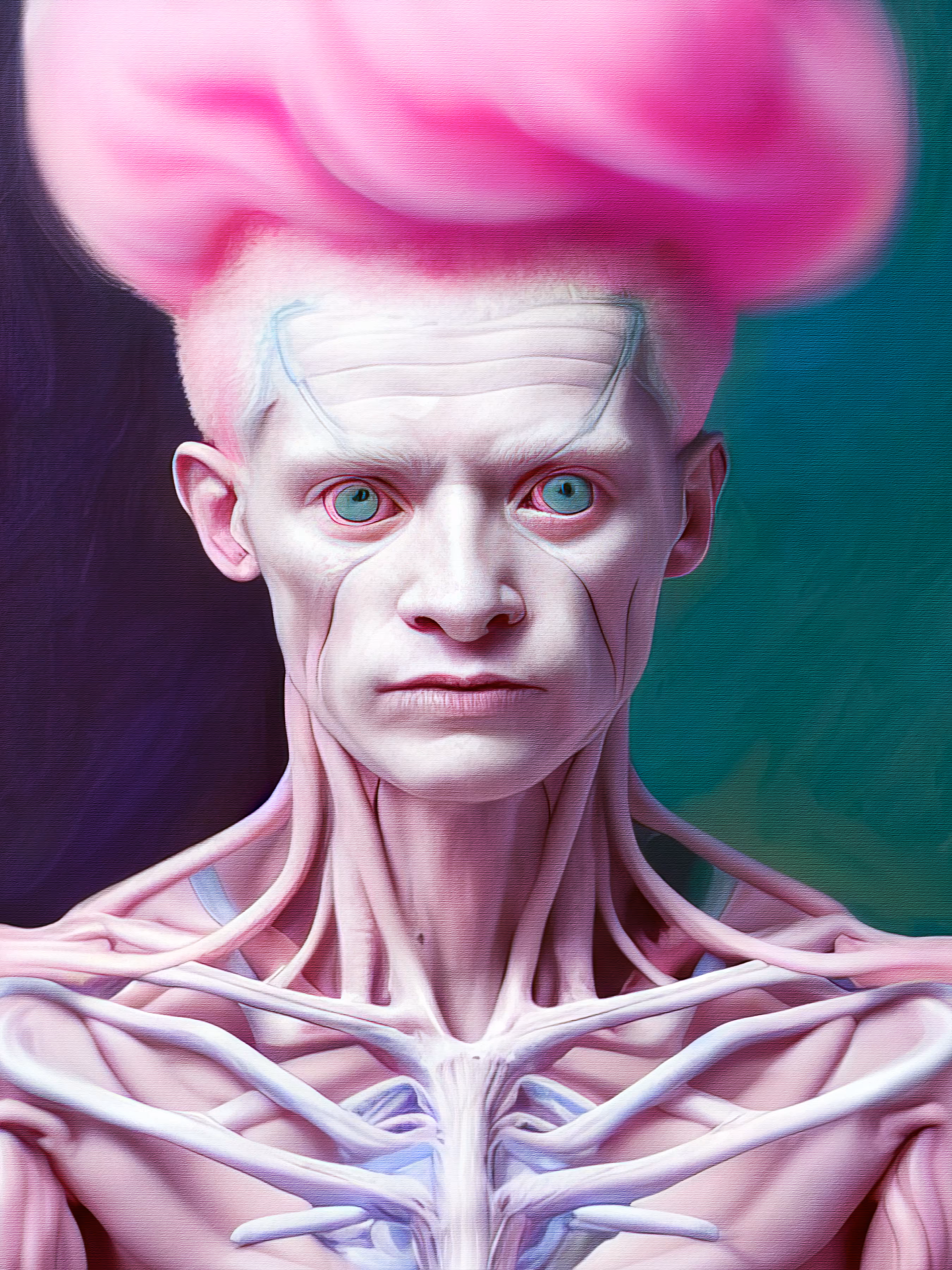 Anatomical Study 50.0