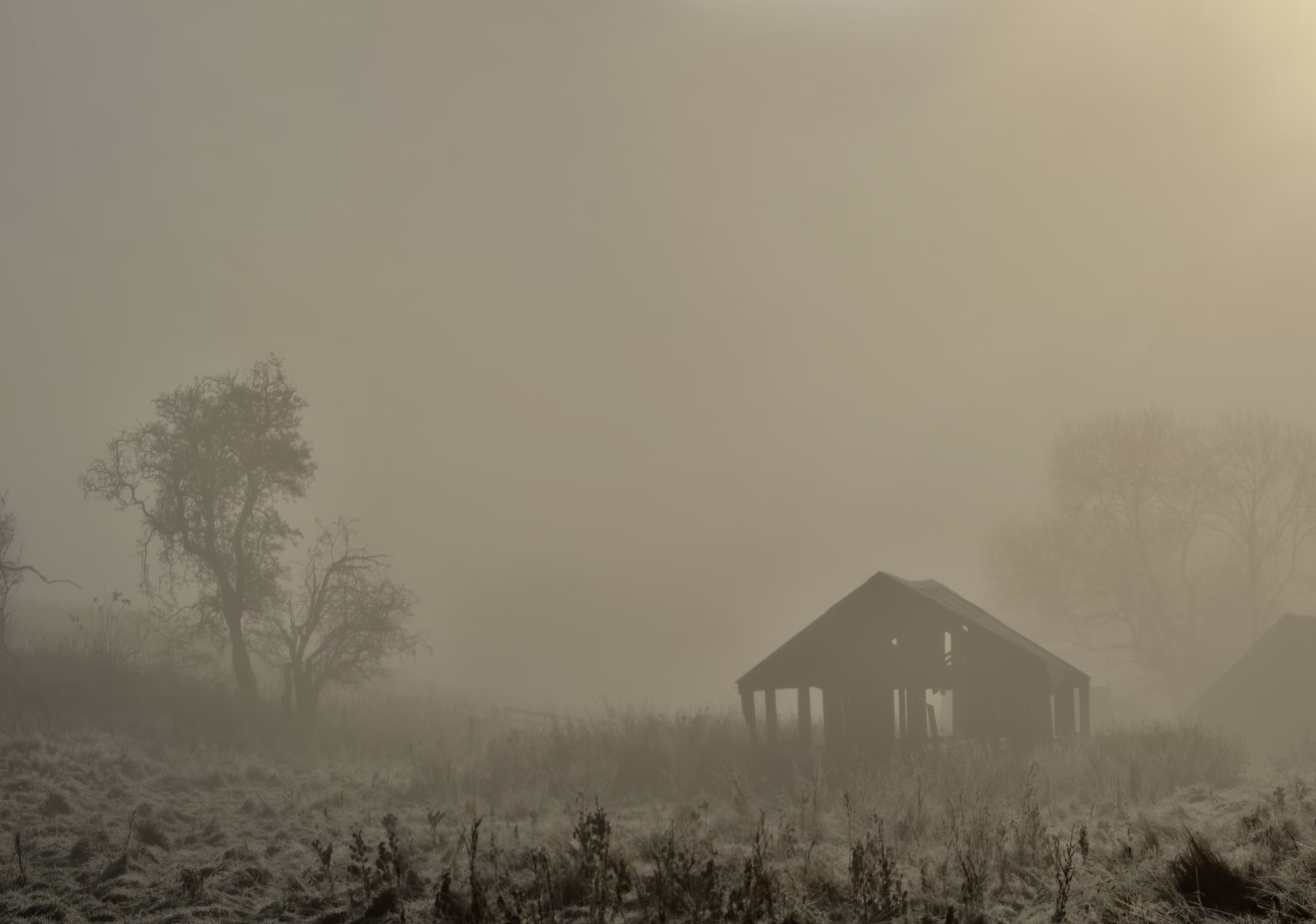 Landscape 3