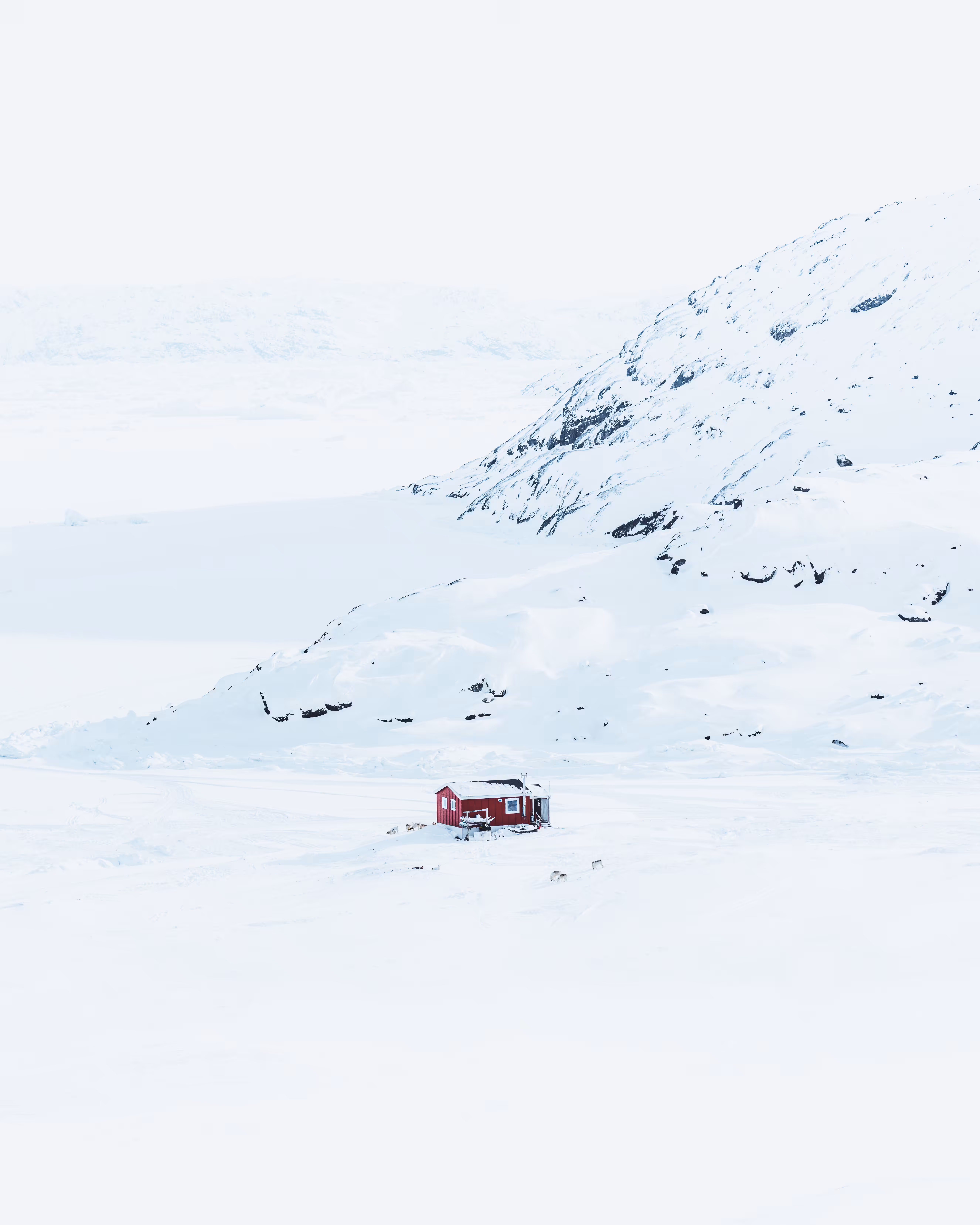 The High Arctic II