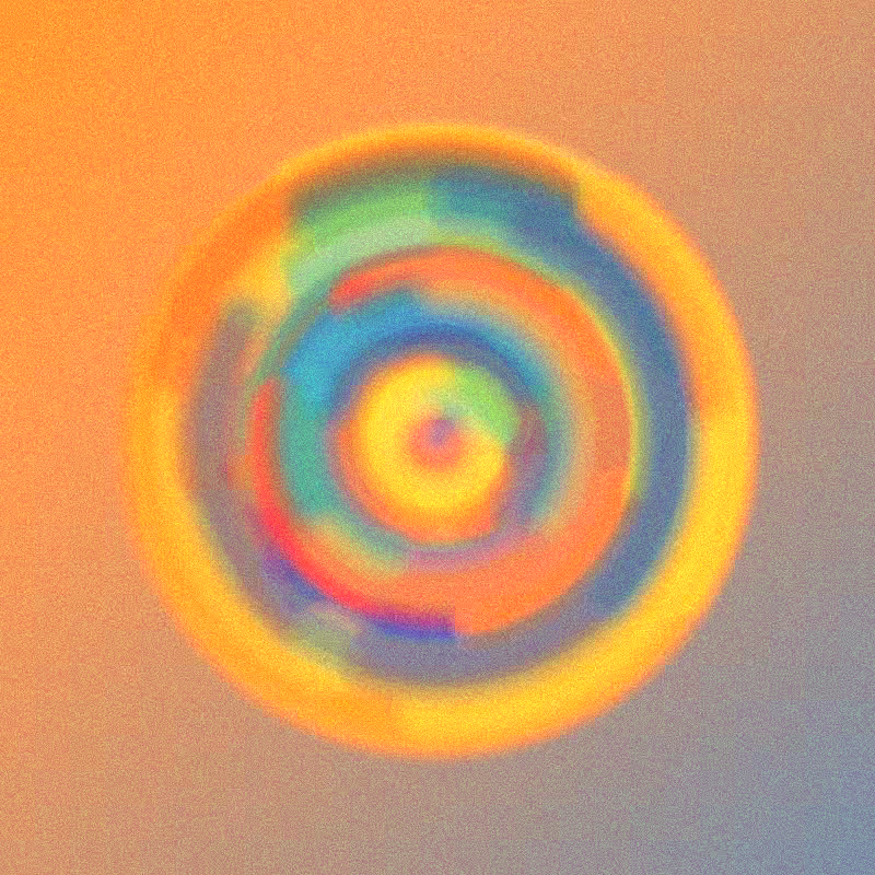 Wisp #656