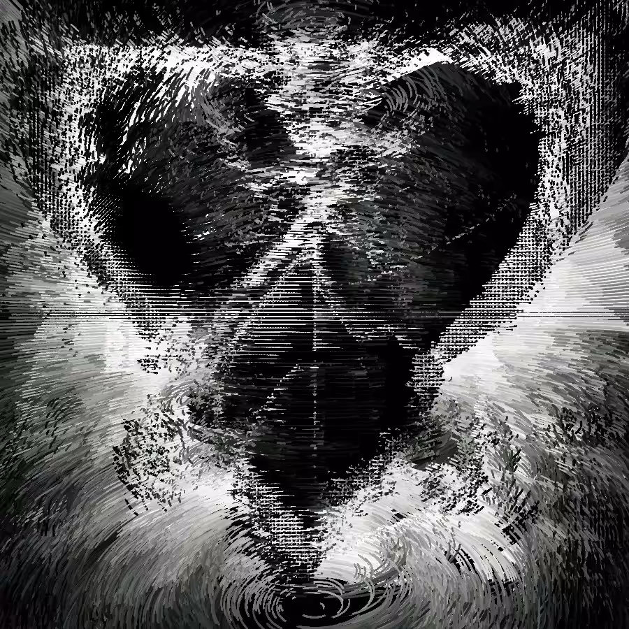 Heartscan
