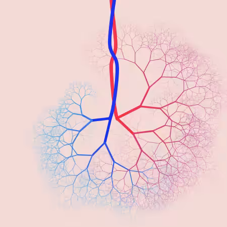 capillary trees #24