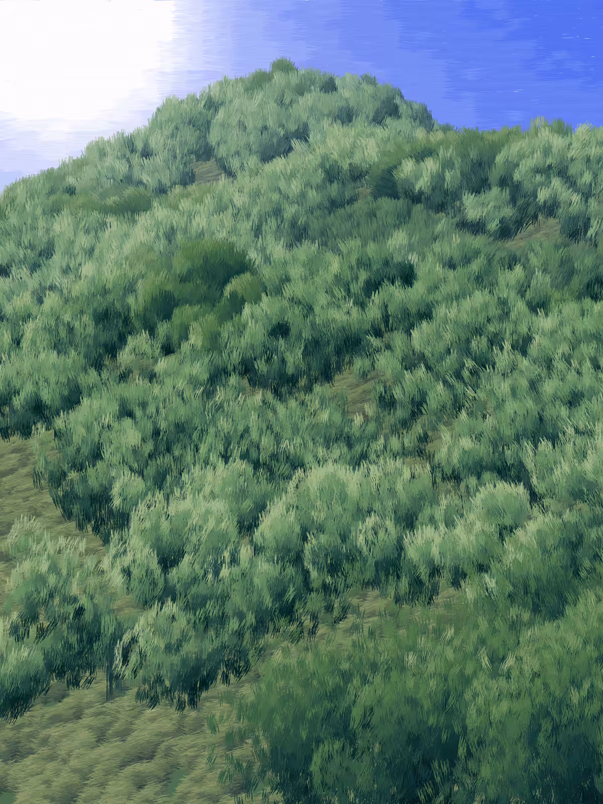 Provence #126