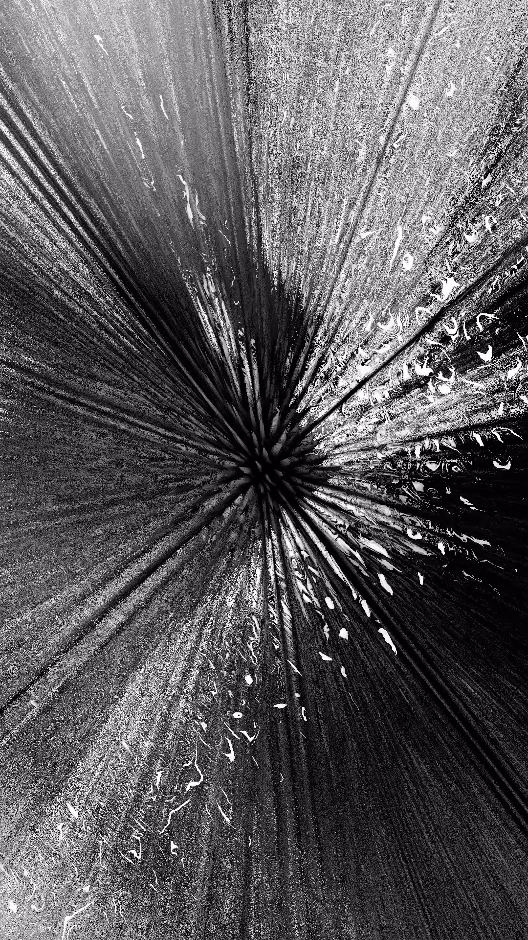 Neural Pathway