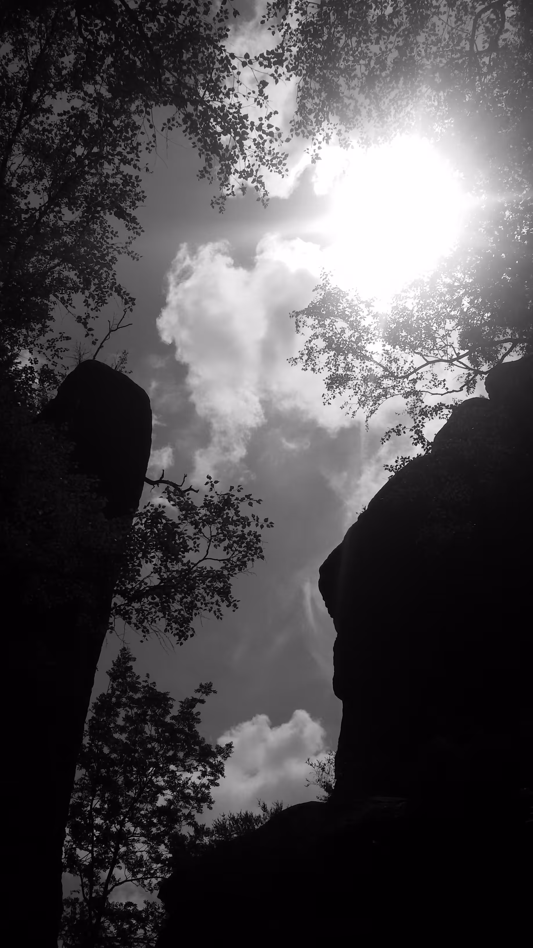 "Saxon Switzerland"