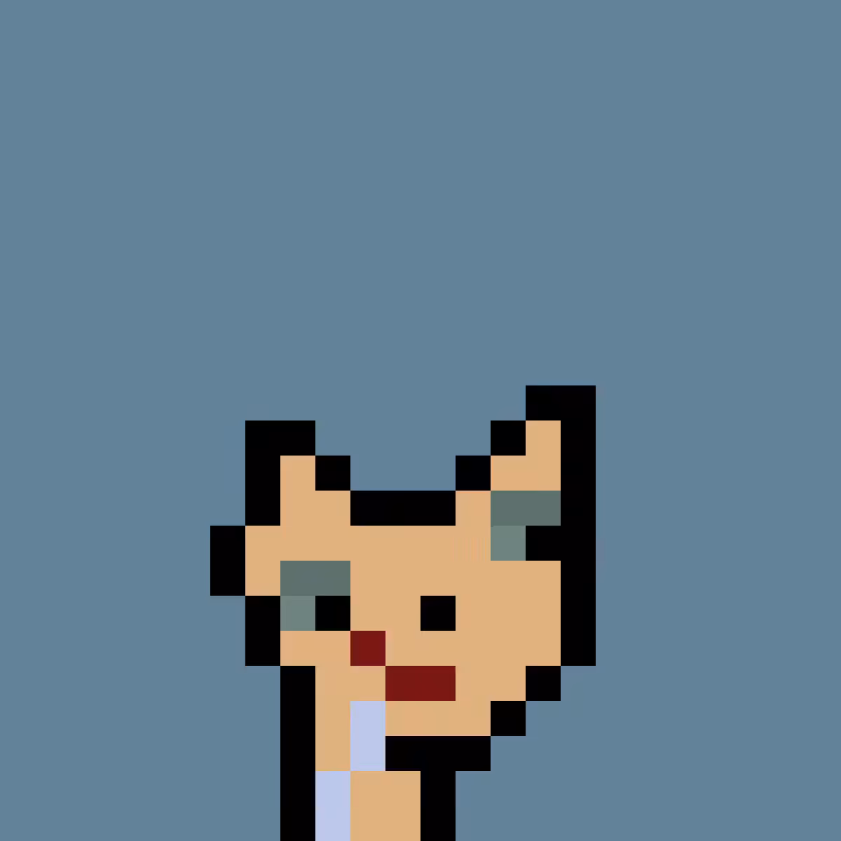 PNUKS #3346