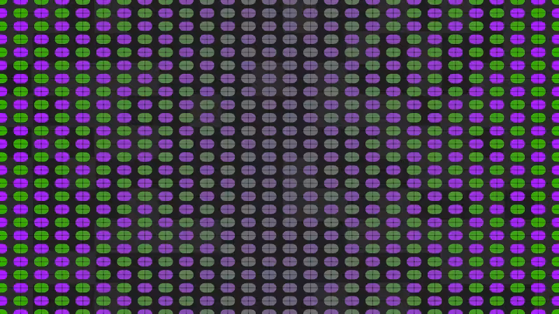 Polka #31