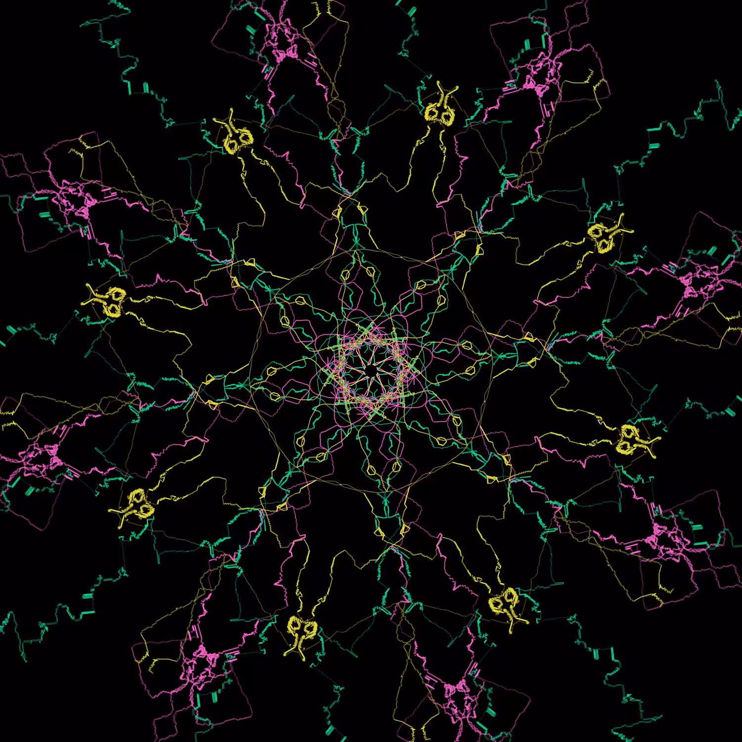 Rhumb #6