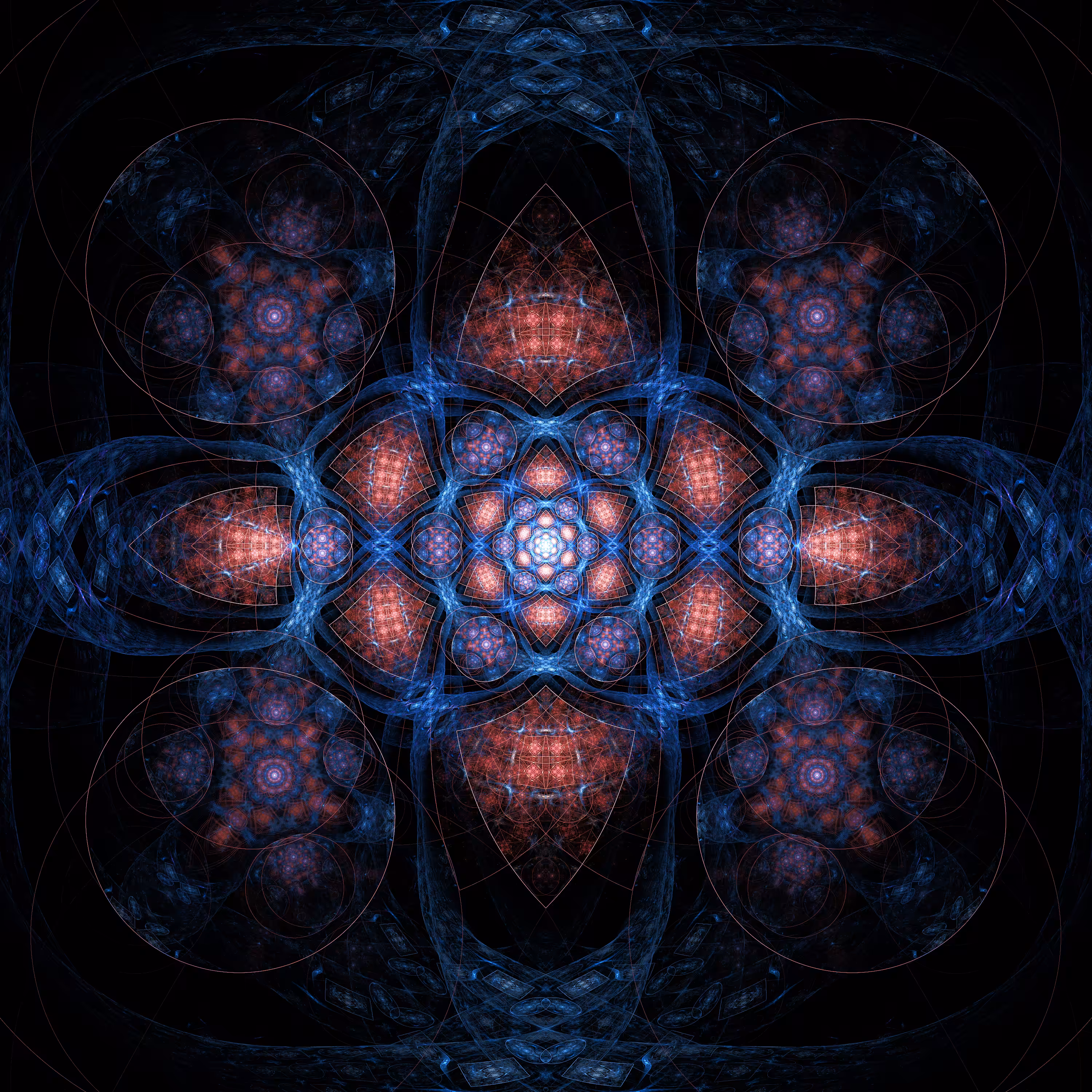 The Flower of Illusion