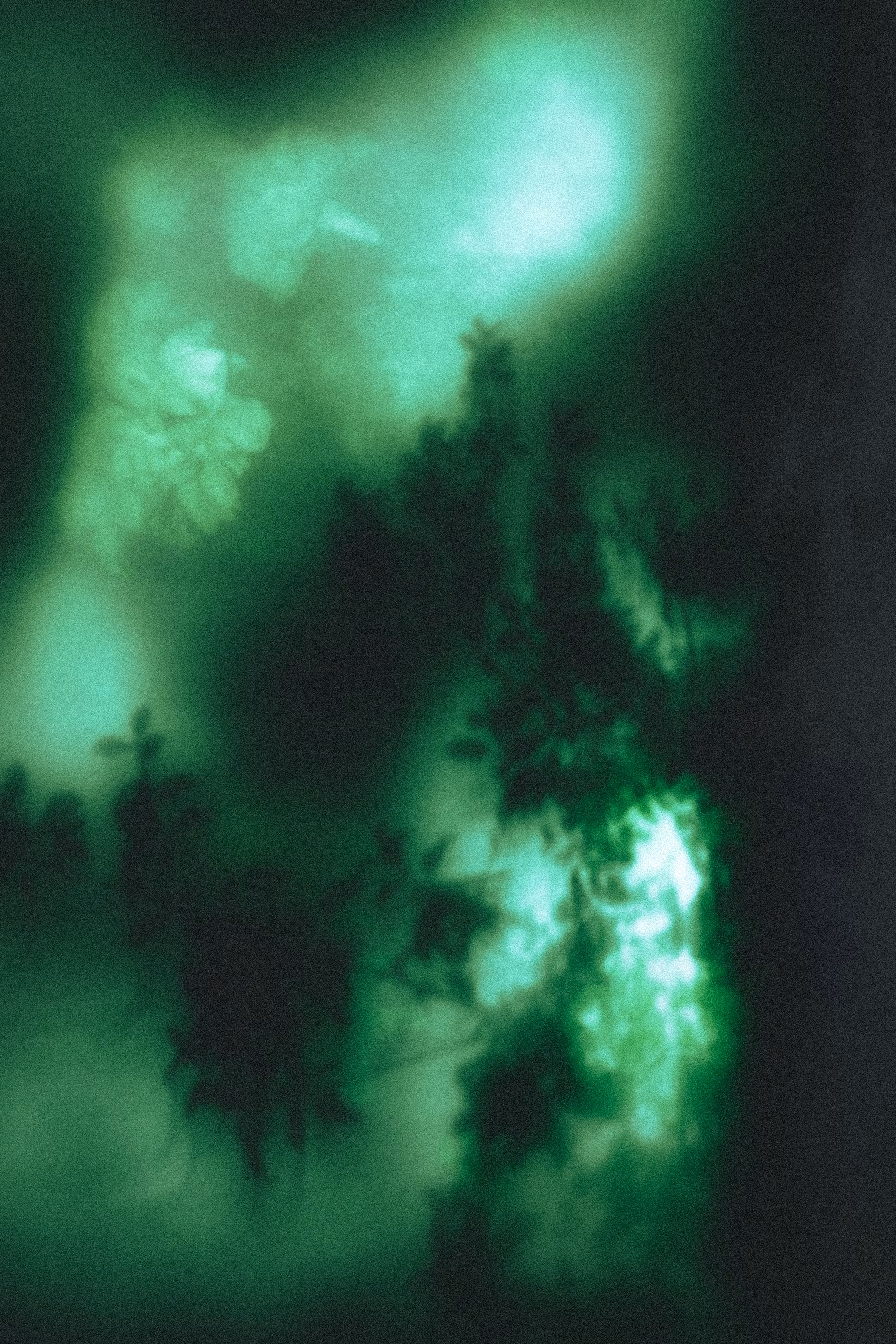 emerald mist