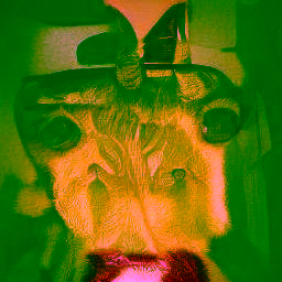 Subhuman #2070