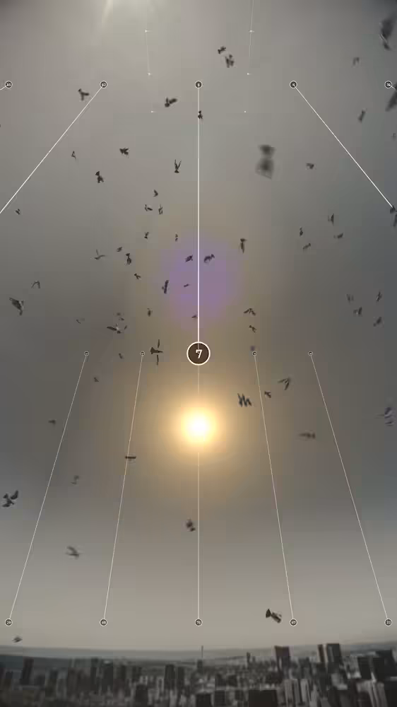 4 pm 255 birds