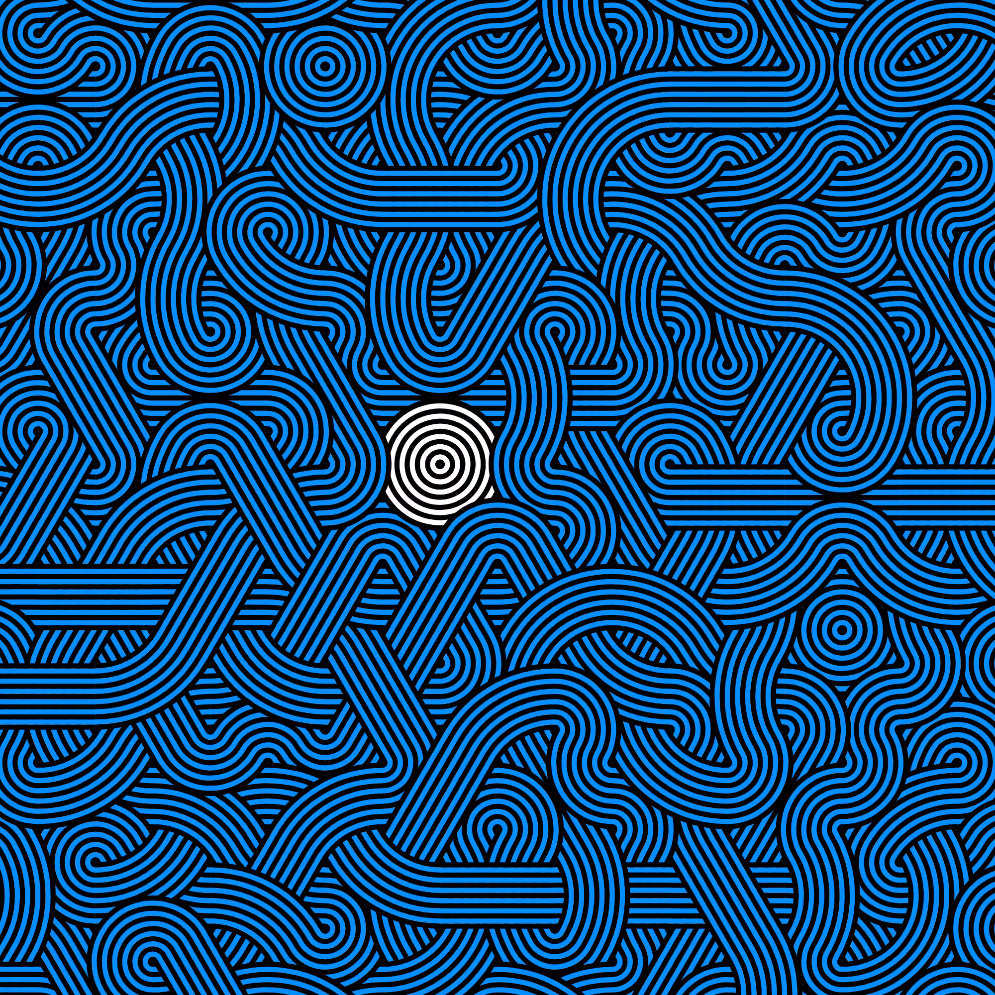 Wanderer #279