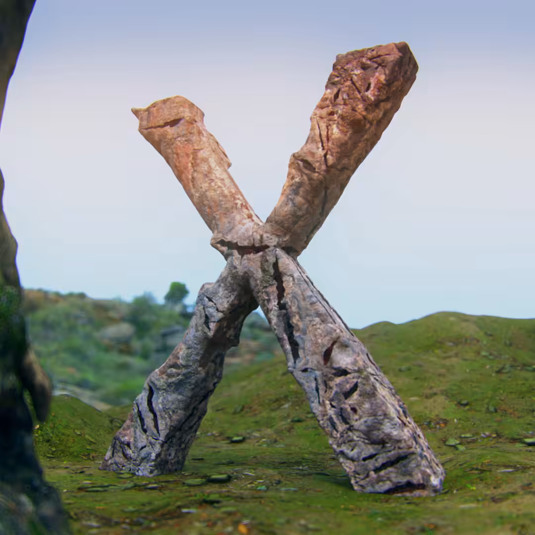 X, for?