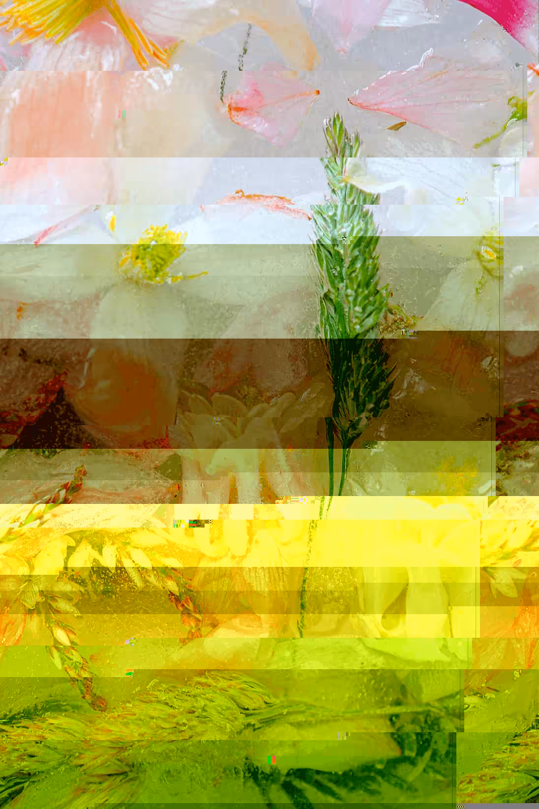 Glitch #1