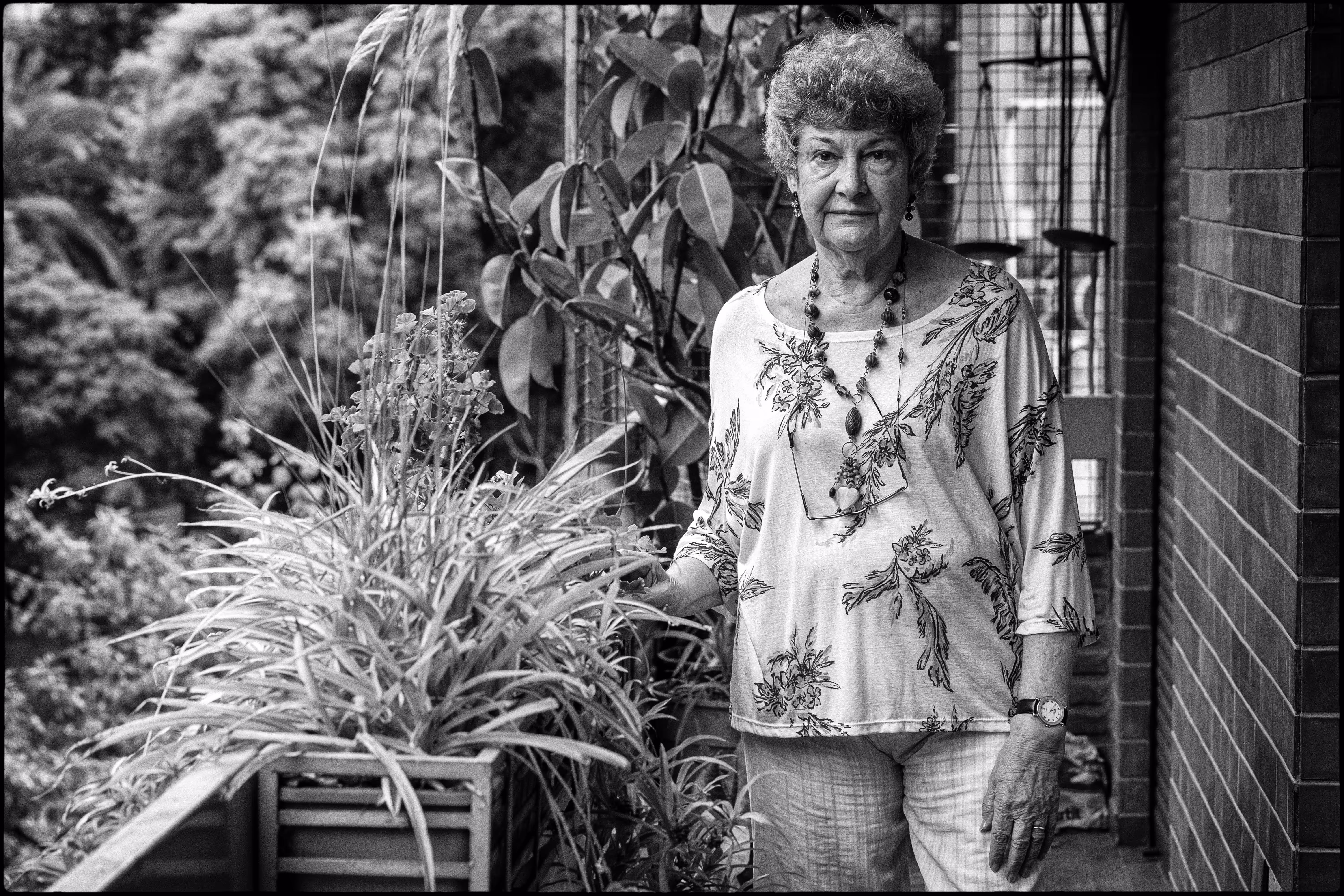 Rosa Rotenberg