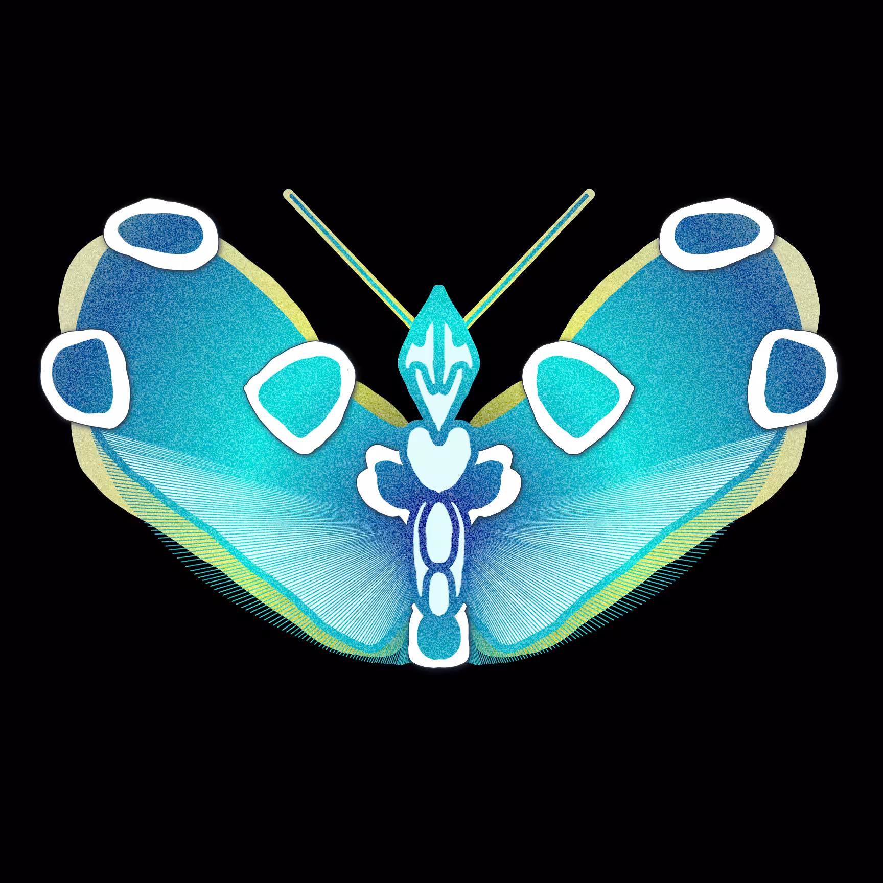Tezerfly#075