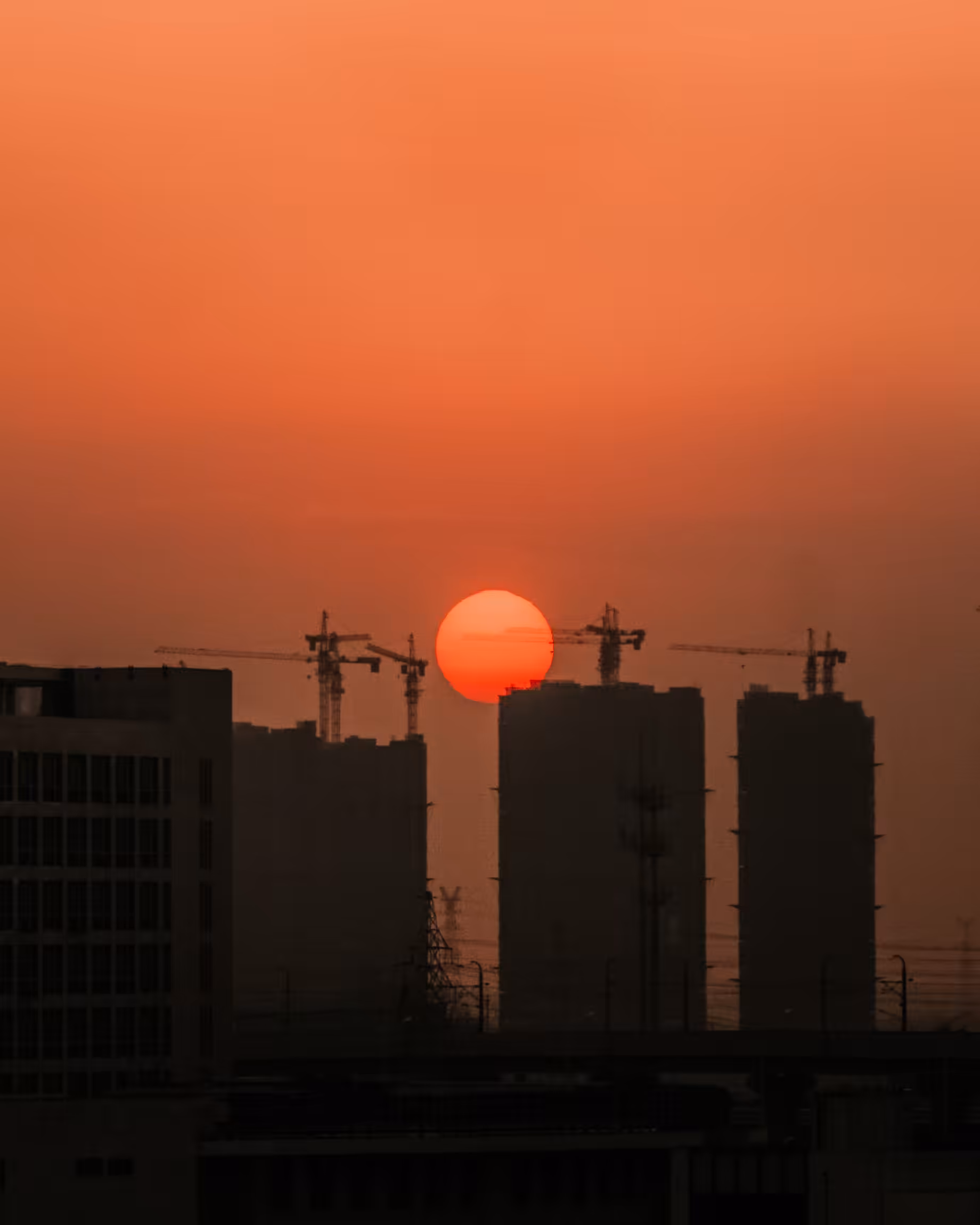 Wildest Sunset