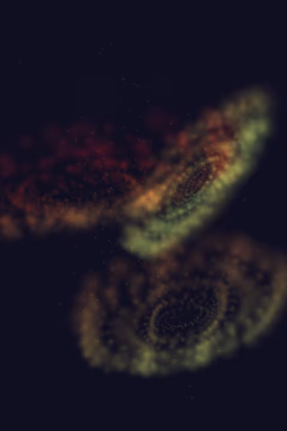 Orchestrated Chaos #41