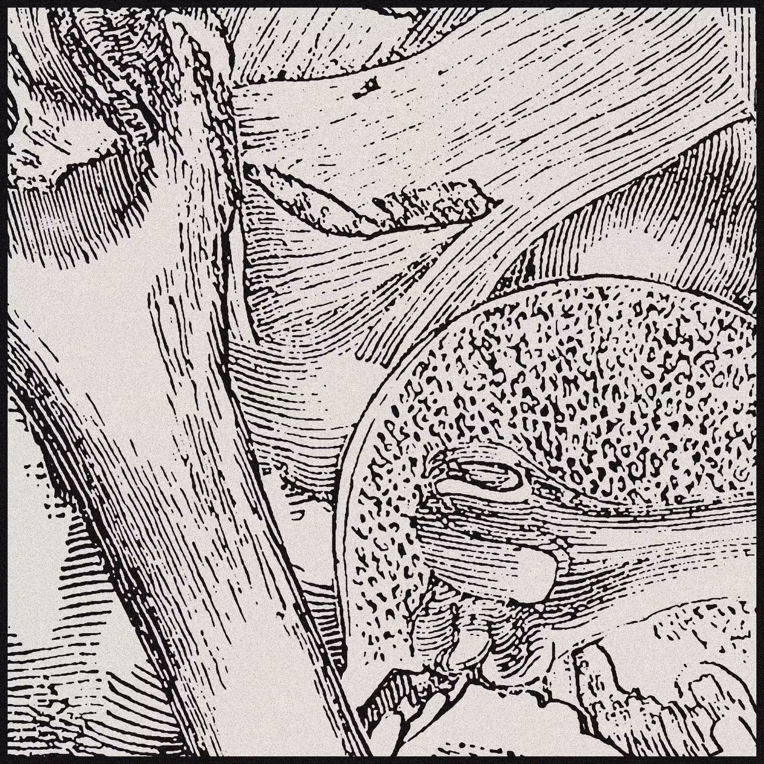 Diagenesis [1/12]